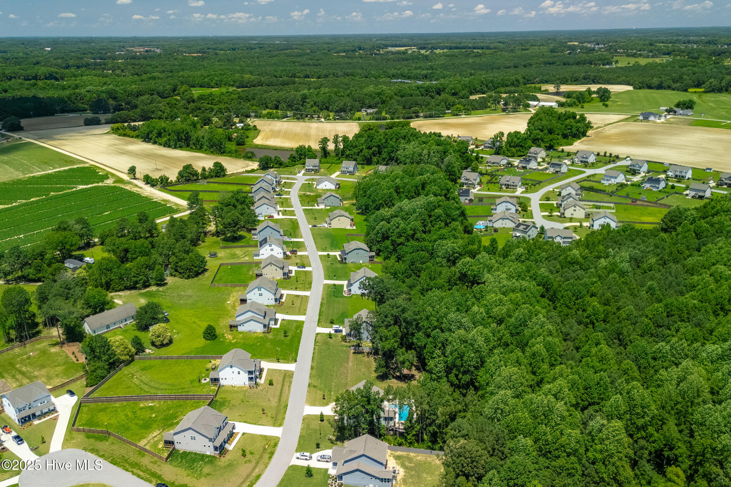 8341 Running Fern Way Property Photo 67