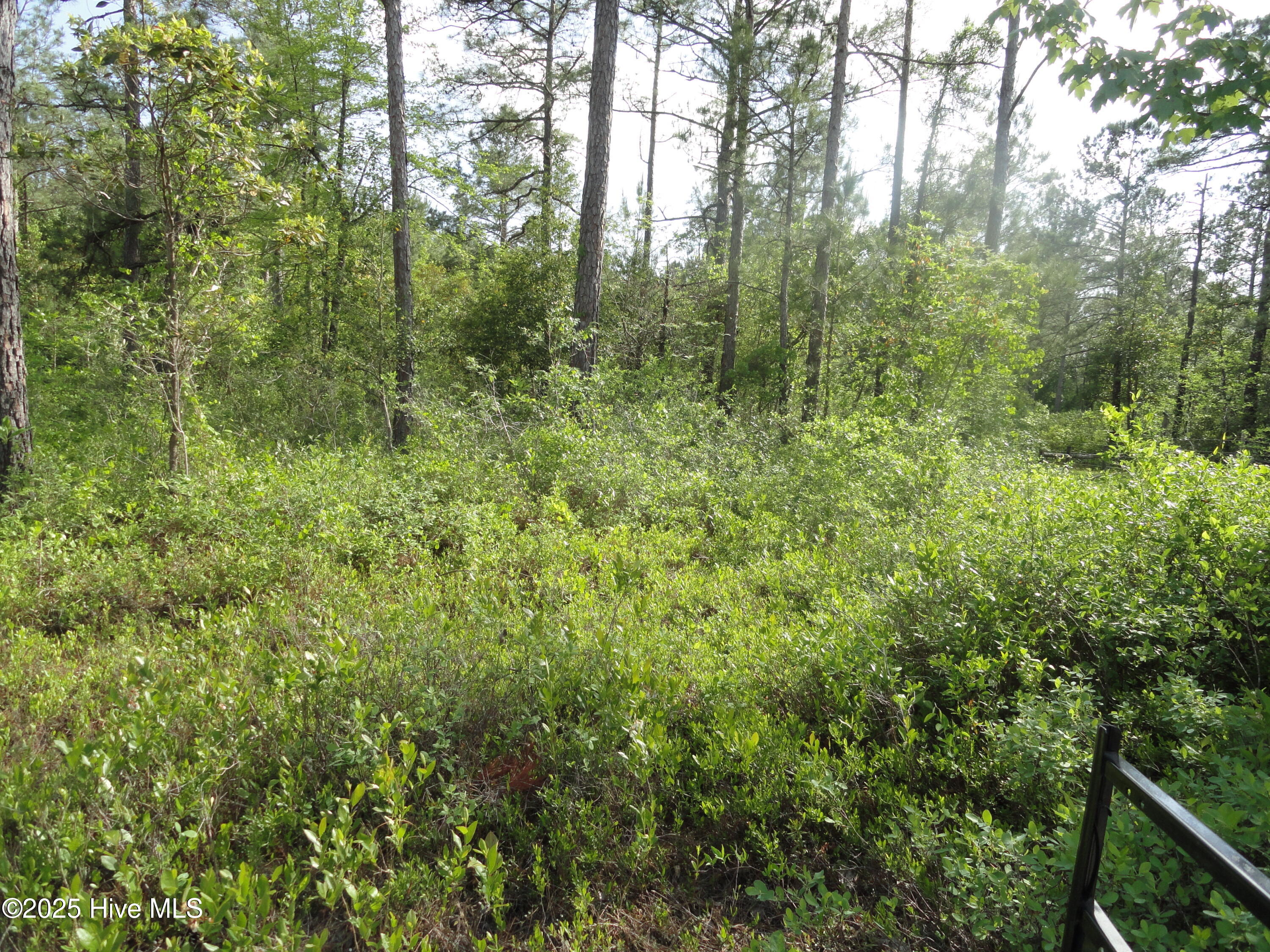 2 River Trail Property Photo 1