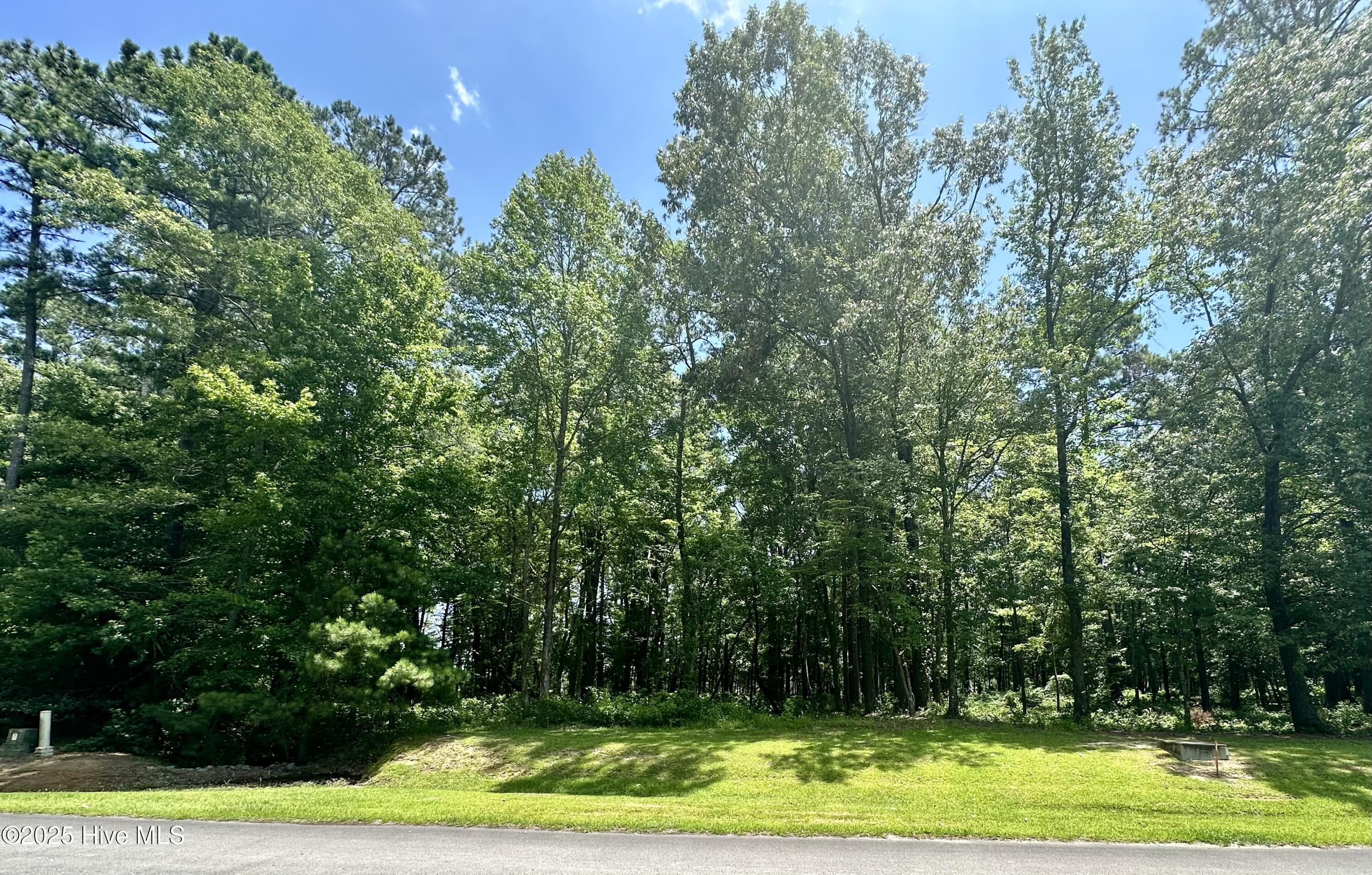 Lot 70 Winfield Lane Property Photo 9