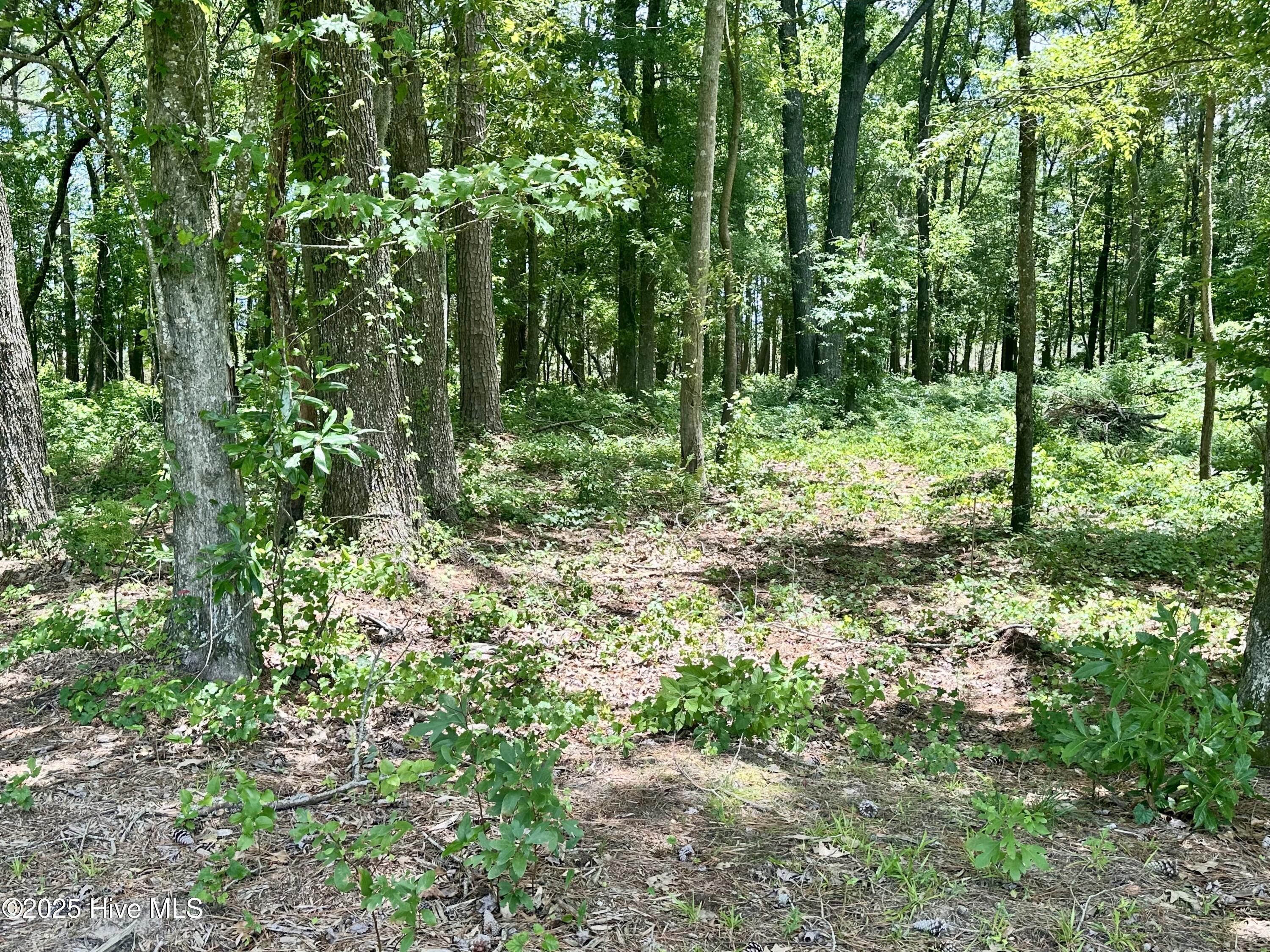 Lot 70 Winfield Lane Property Photo 10