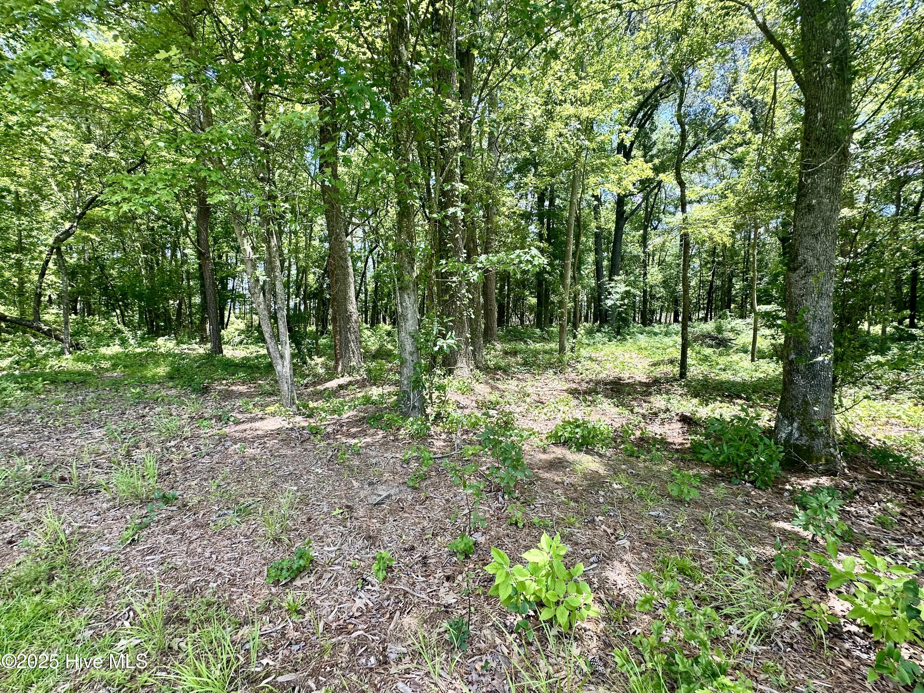 Lot 70 Winfield Lane Property Photo 11