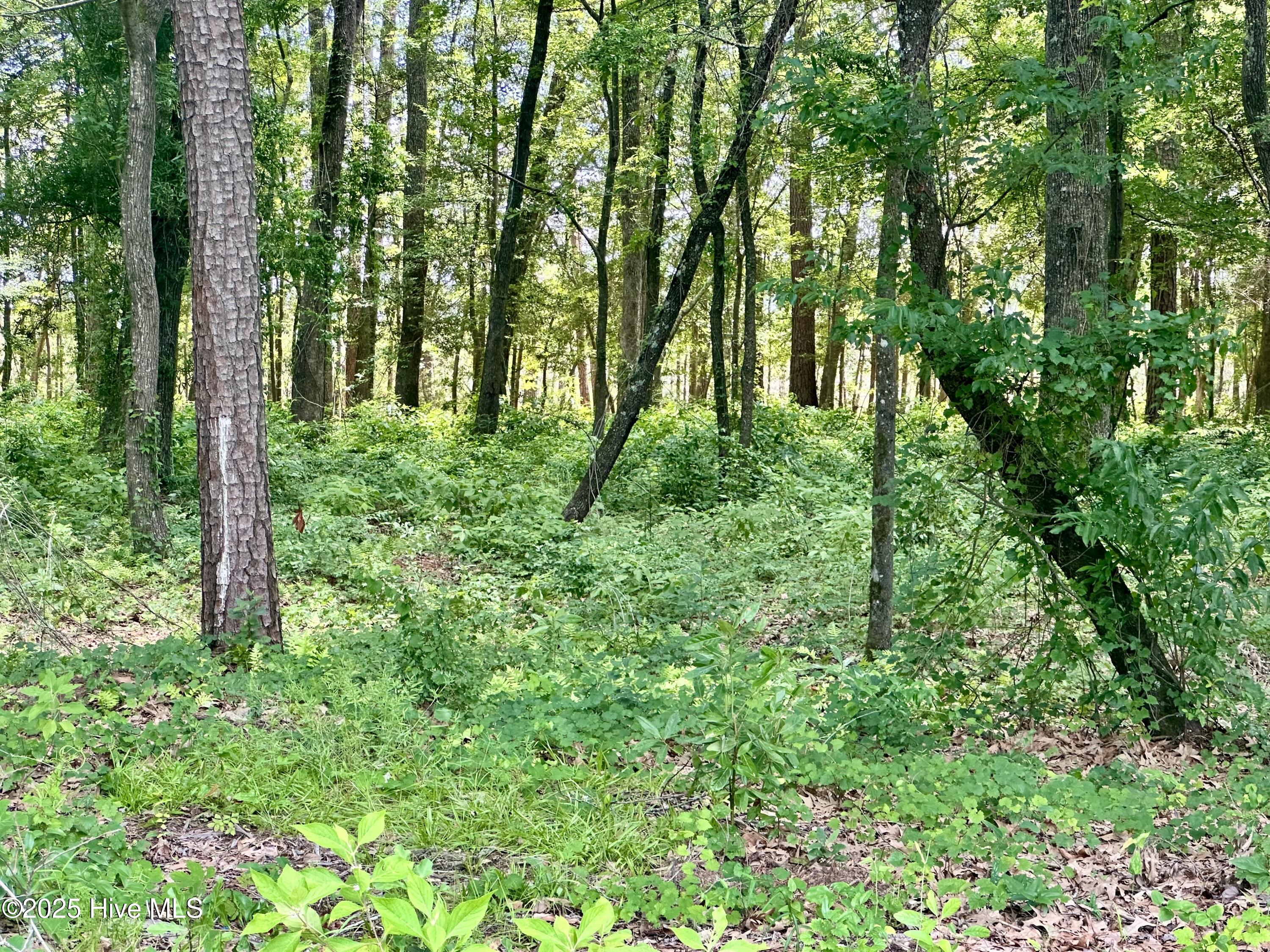 Lot 70 Winfield Lane Property Photo 12