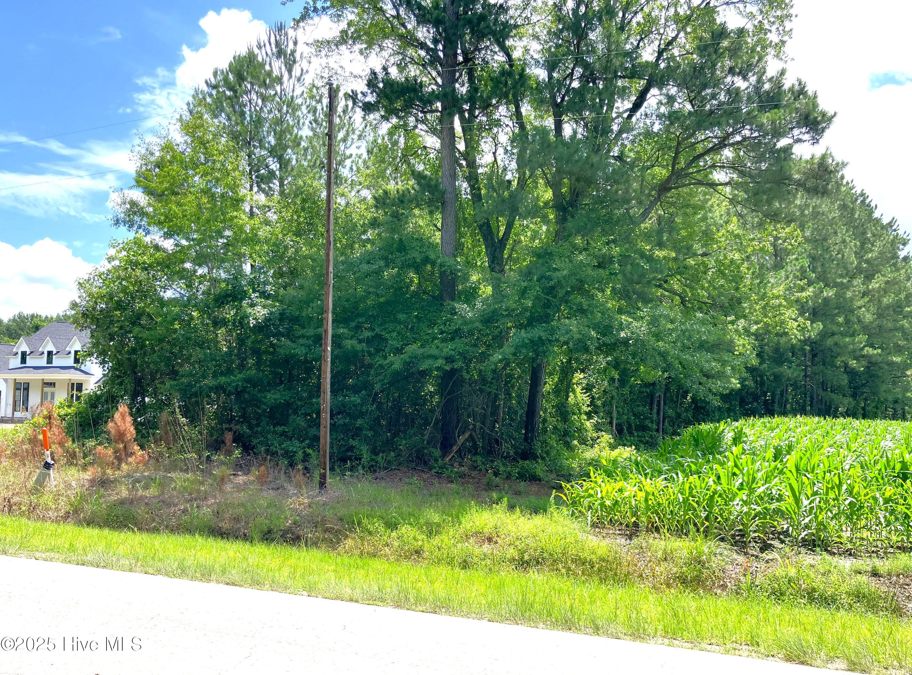 294 Springhill Road Property Photo 1