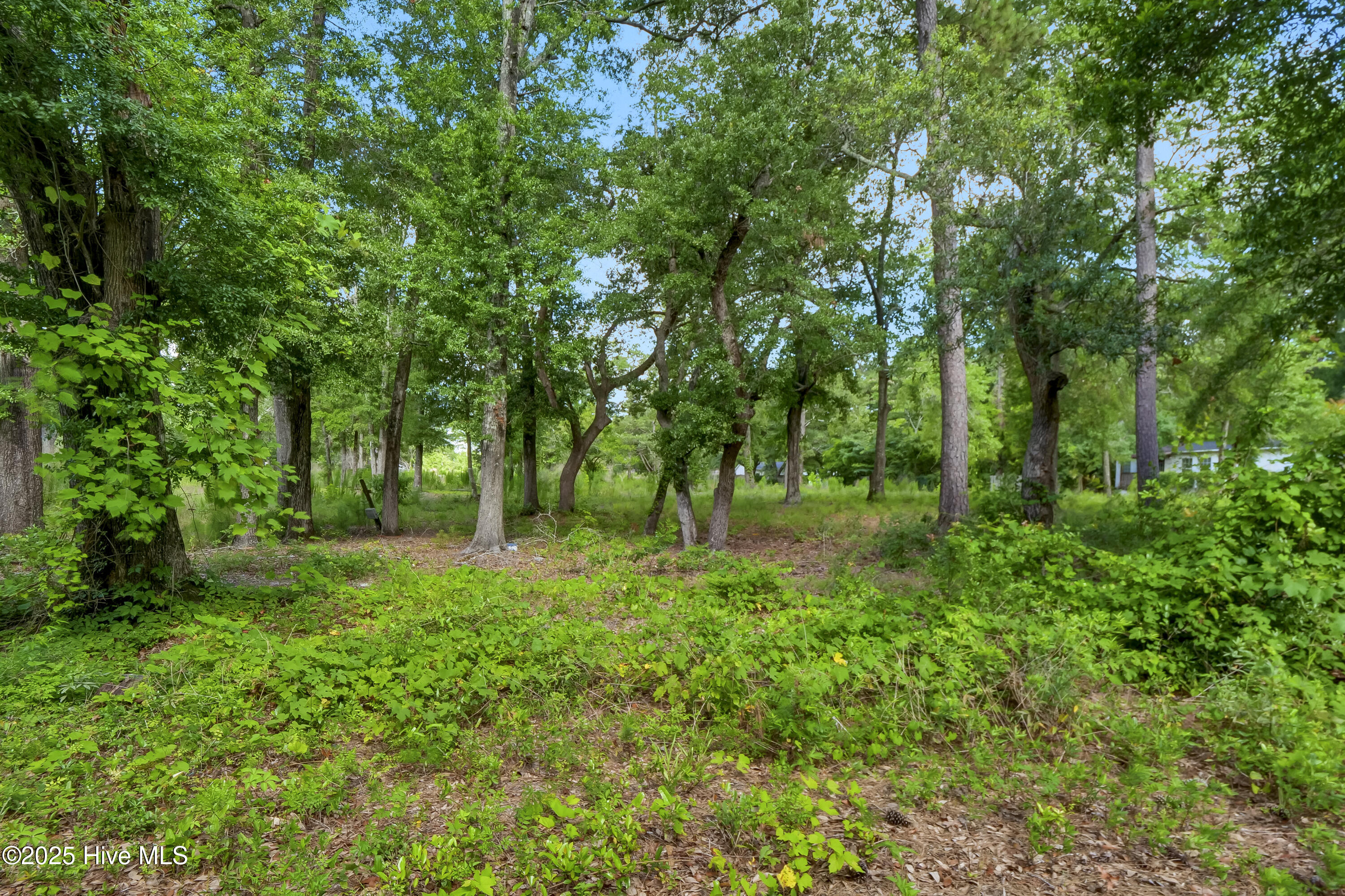 9641 River Road Property Photo 14