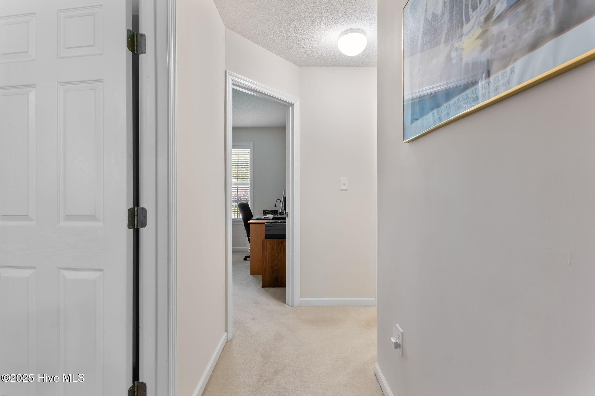 3109 Gold Dust Lane Property Photo 29