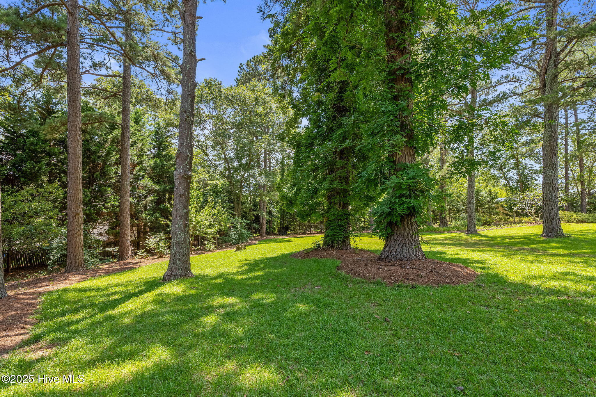 3109 Gold Dust Lane Property Photo 41