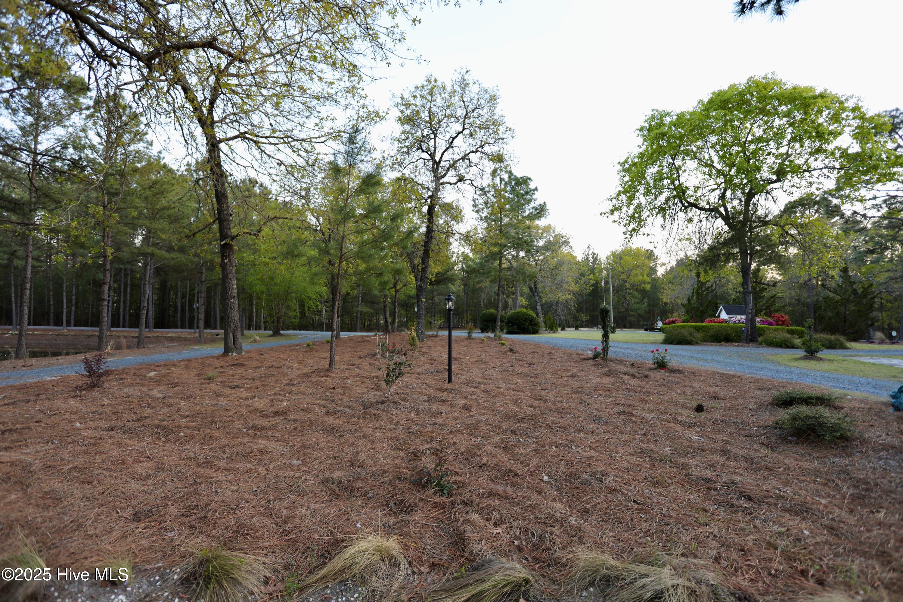6680 Beulah Hill Church Road Property Photo 15