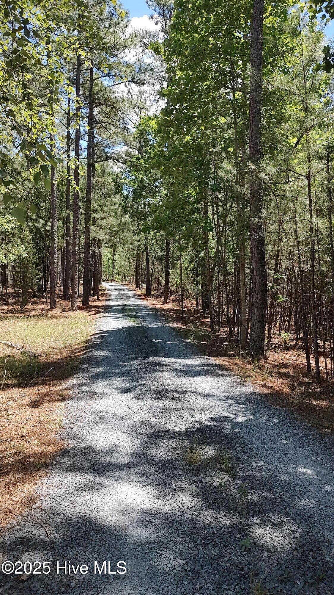 6680 Beulah Hill Church Road Property Photo 16