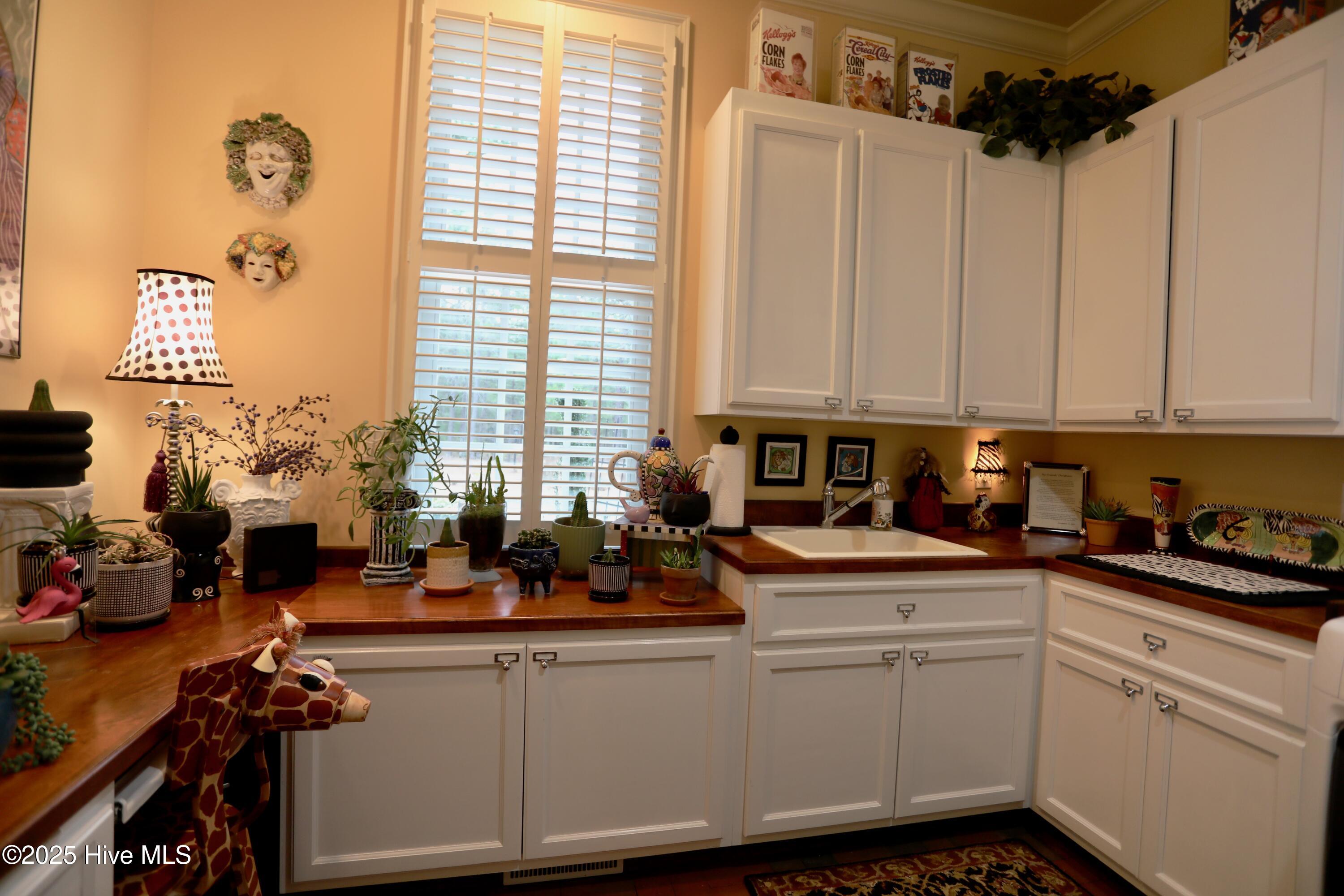 6680 Beulah Hill Church Road Property Photo 67