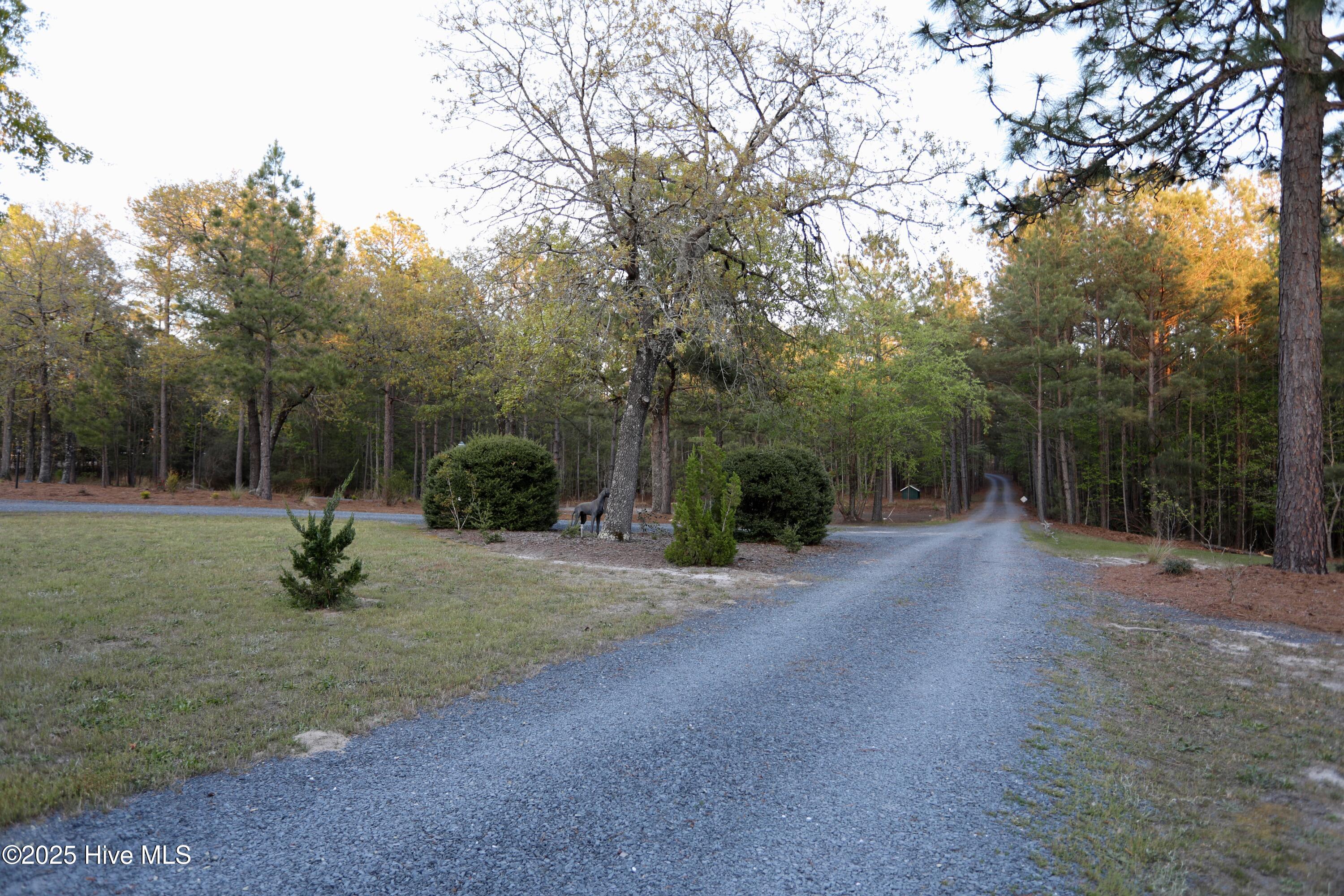 6680 Beulah Hill Church Road Property Photo 123