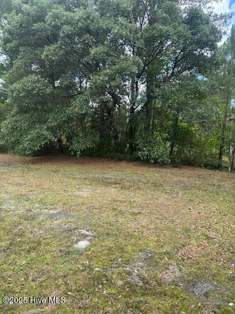 0 Us 17 Highway Property Photo 1