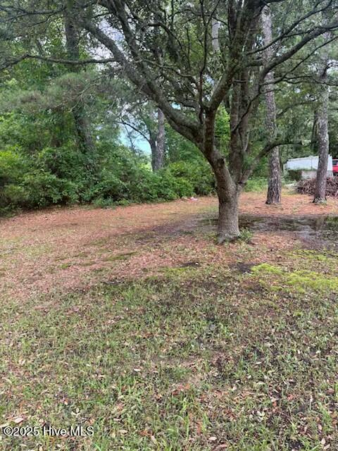 0 Us 17 Highway Property Photo 2