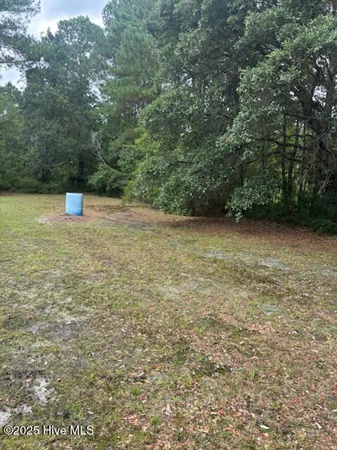 0 Us 17 Highway Property Photo 3