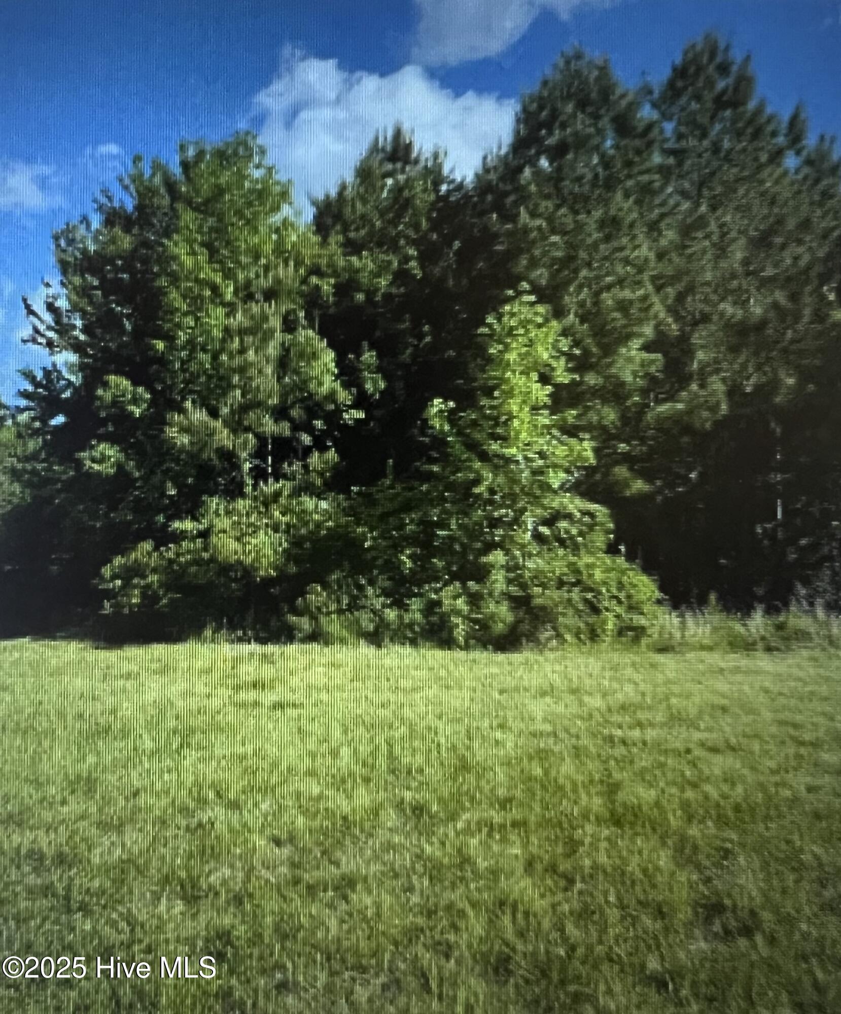 150 Branch Bay Landing Court Property Photo 1