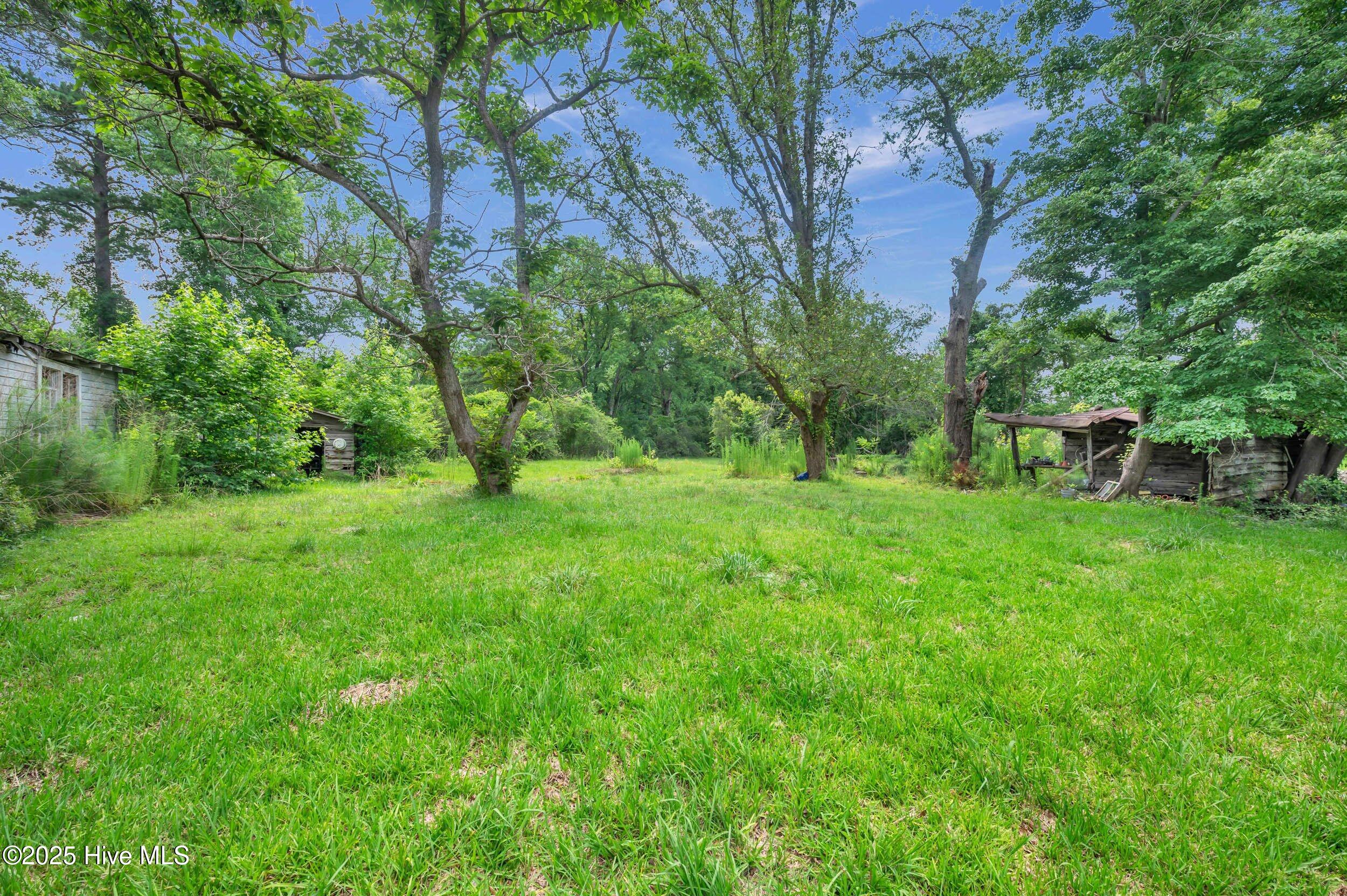 15339 Nc Hwy 210 Property Photo 1