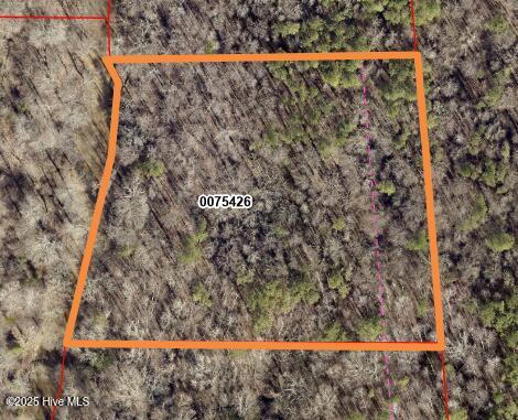 00 Off Nc Hwy 902 Property Photo 1