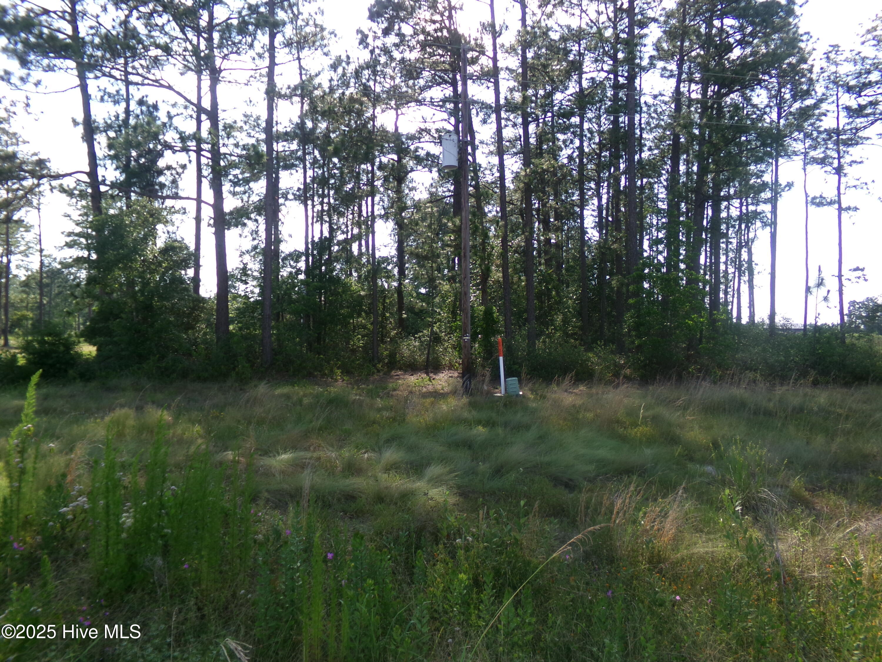 Lots 35-38 Us 701 Highway Property Photo 3