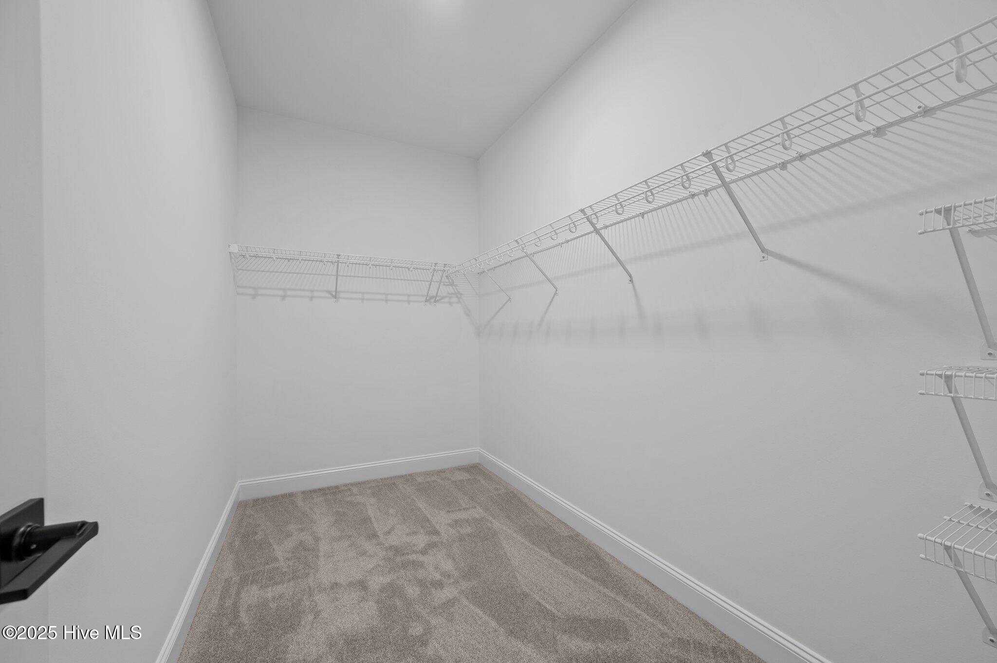 853 Mulligan Drive Property Photo 19