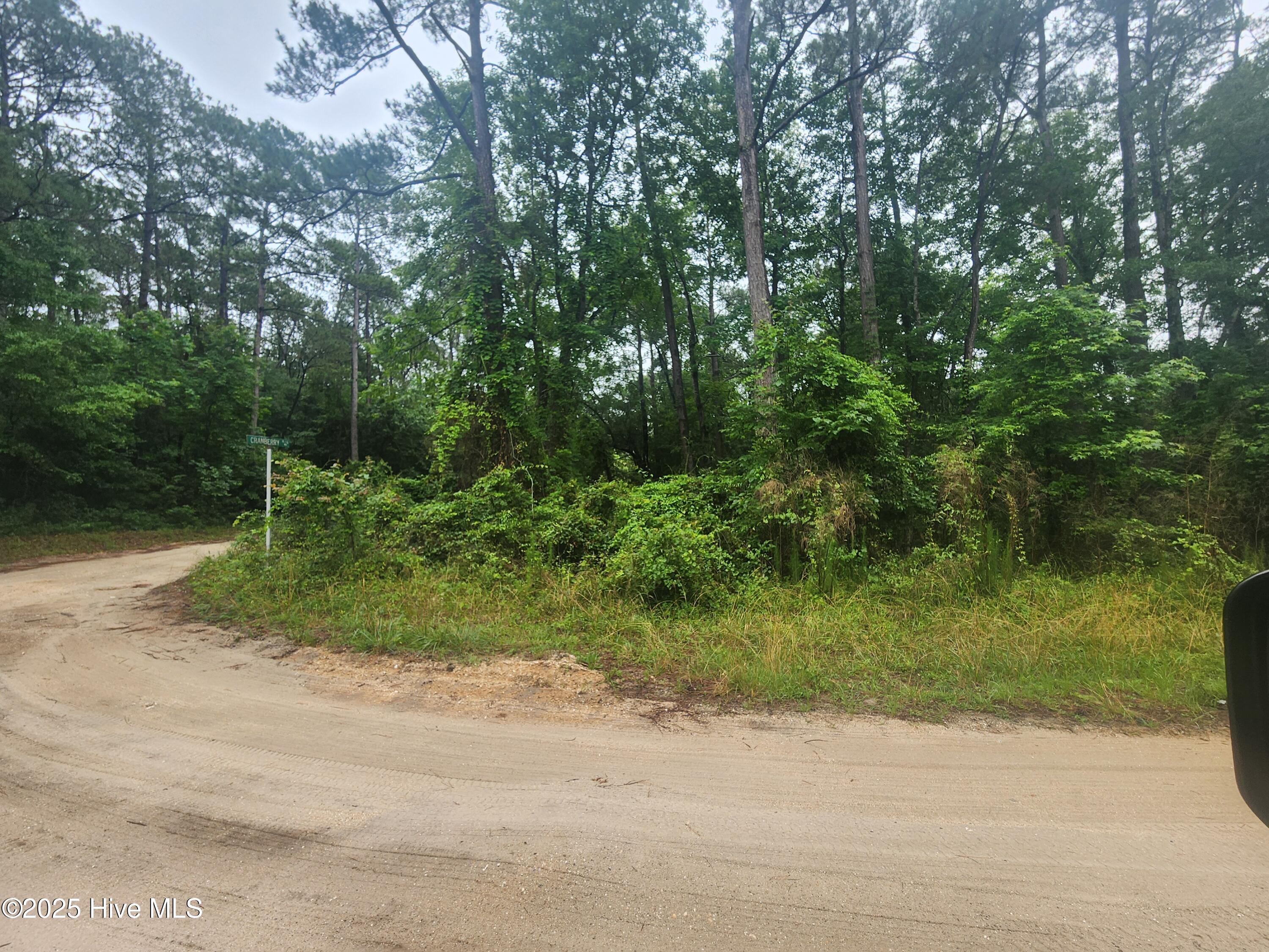 821 Cypress Lakes Circle Property Photo 1