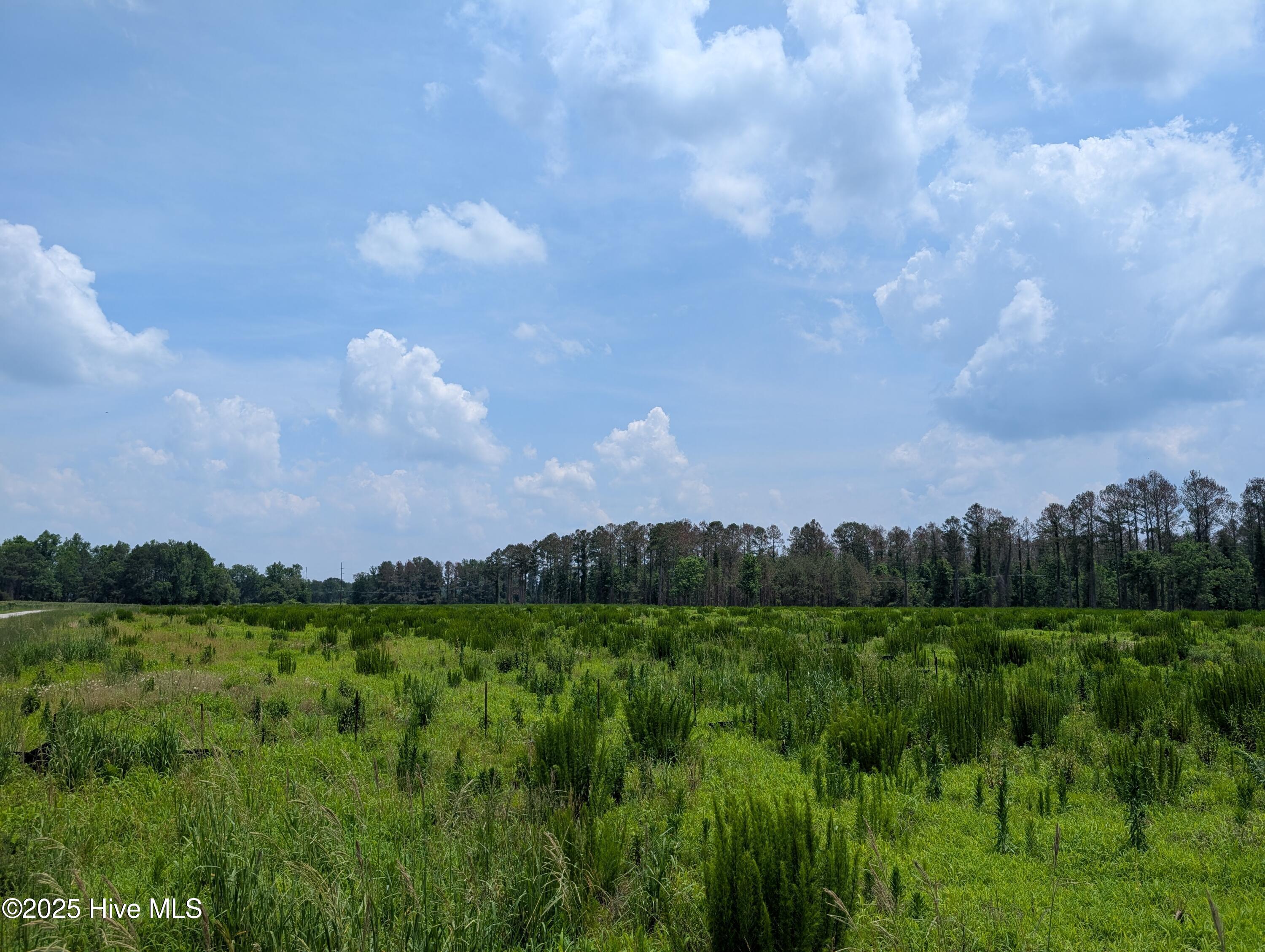 000 Cedar Fork Road Property Photo 1