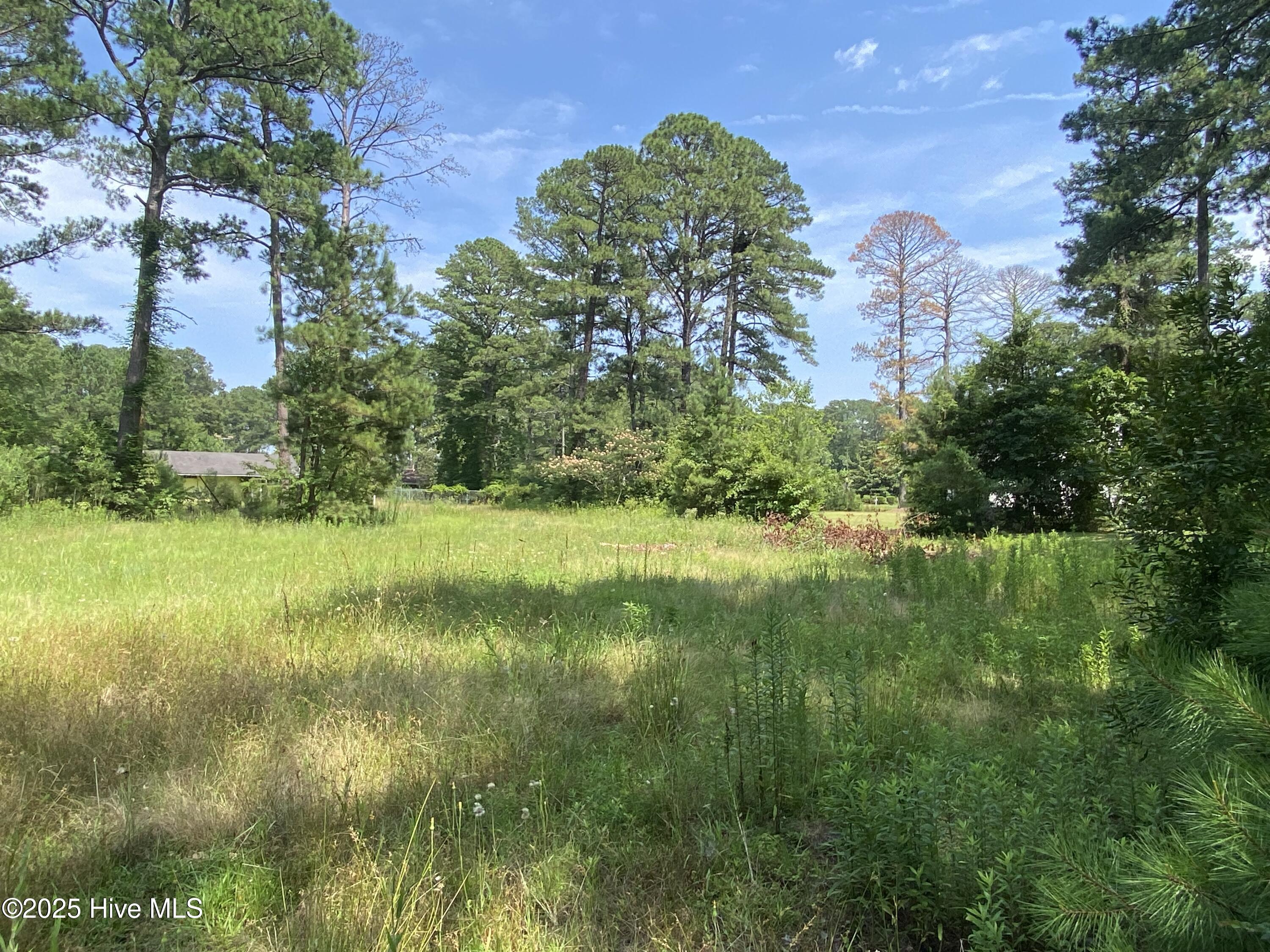 1539 Downing Road Property Photo 1