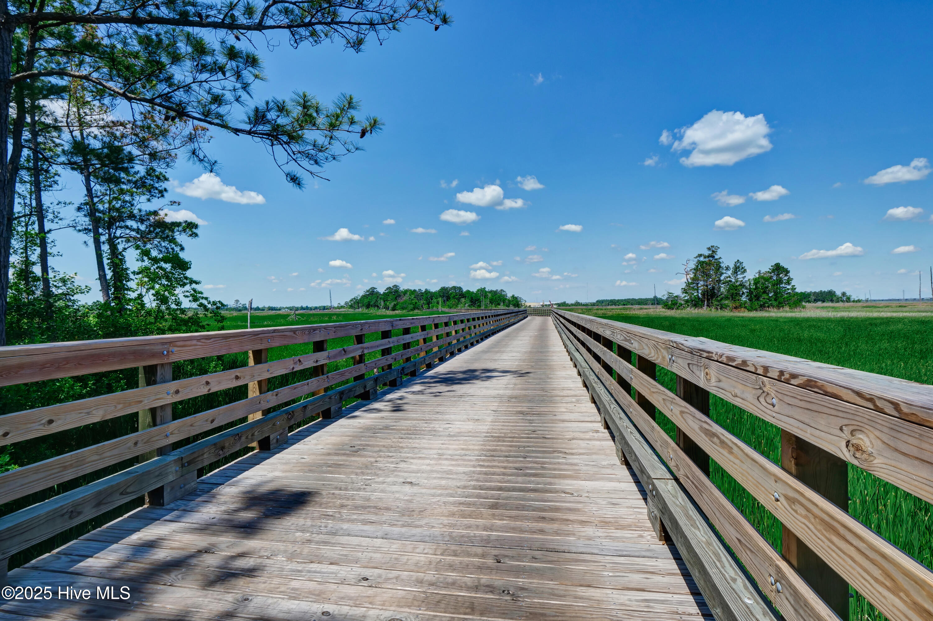 321 Preservation Point Avenue Property Photo 18