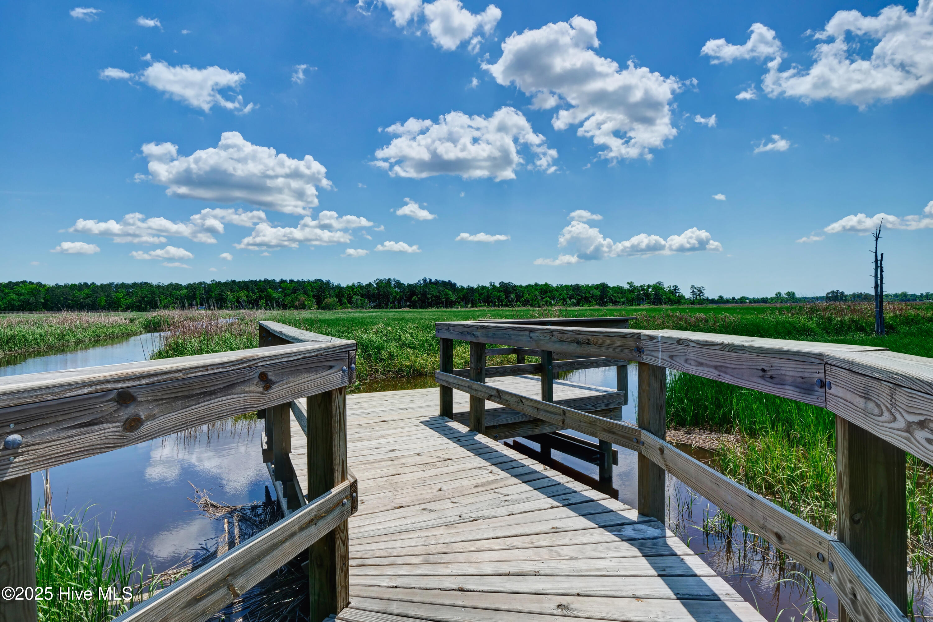 321 Preservation Point Avenue Property Photo 19