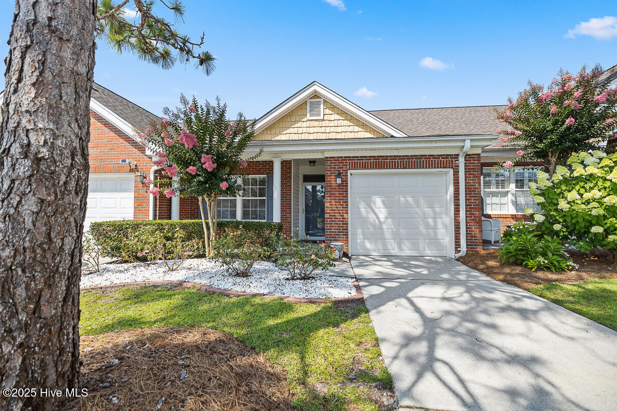 826 Shelton Court