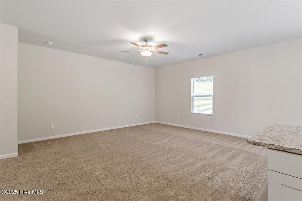 224 Ivy Banks Drive Property Photo 8