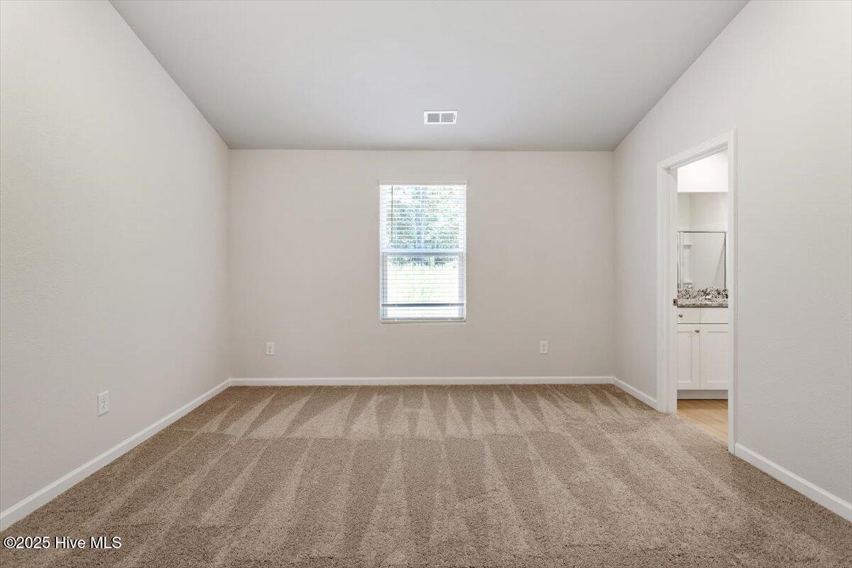224 Ivy Banks Drive Property Photo 17