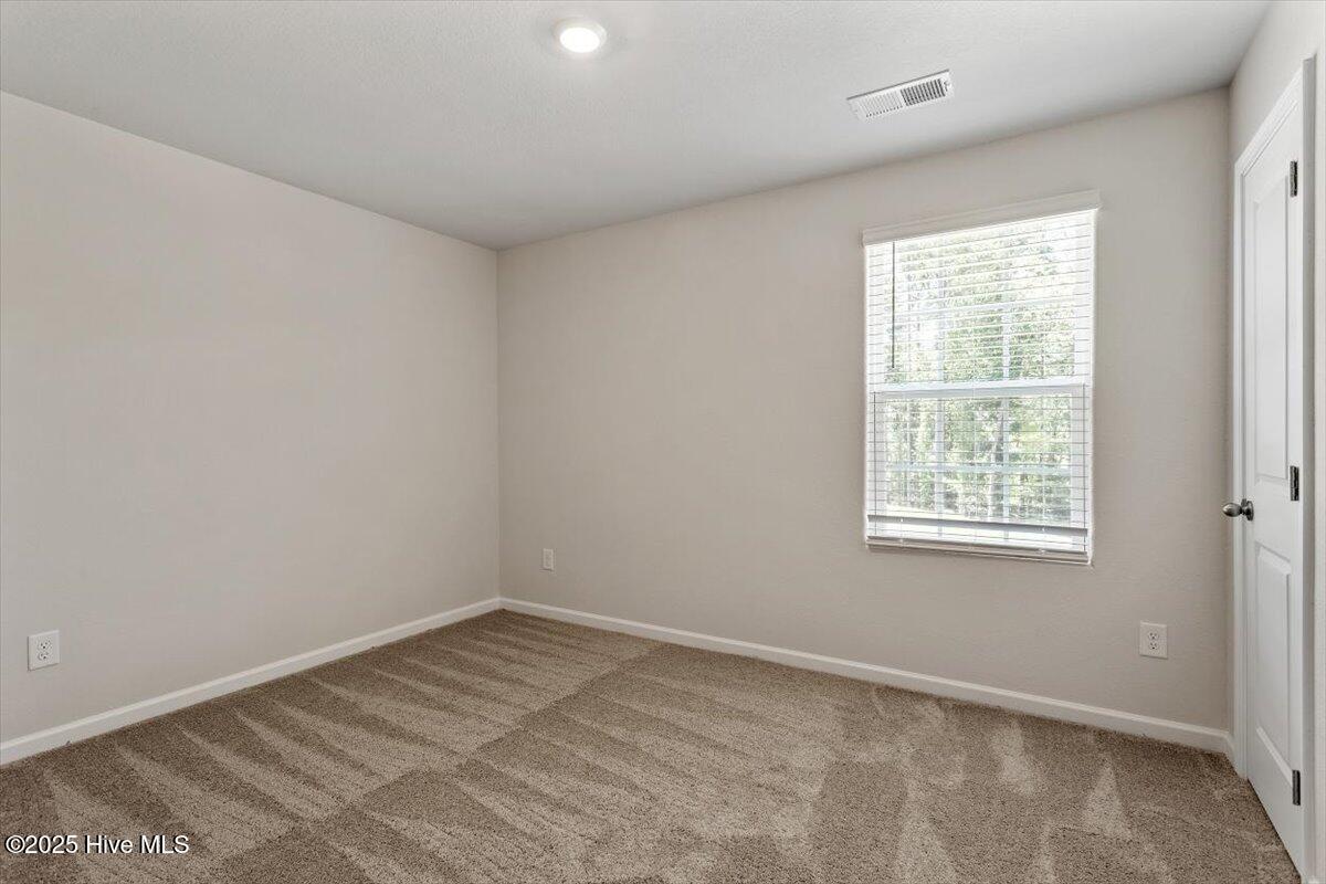 224 Ivy Banks Drive Property Photo 24