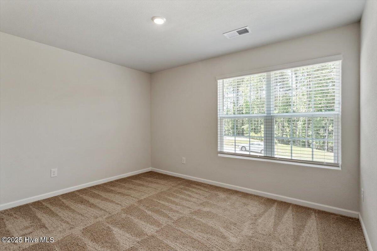 224 Ivy Banks Drive Property Photo 25
