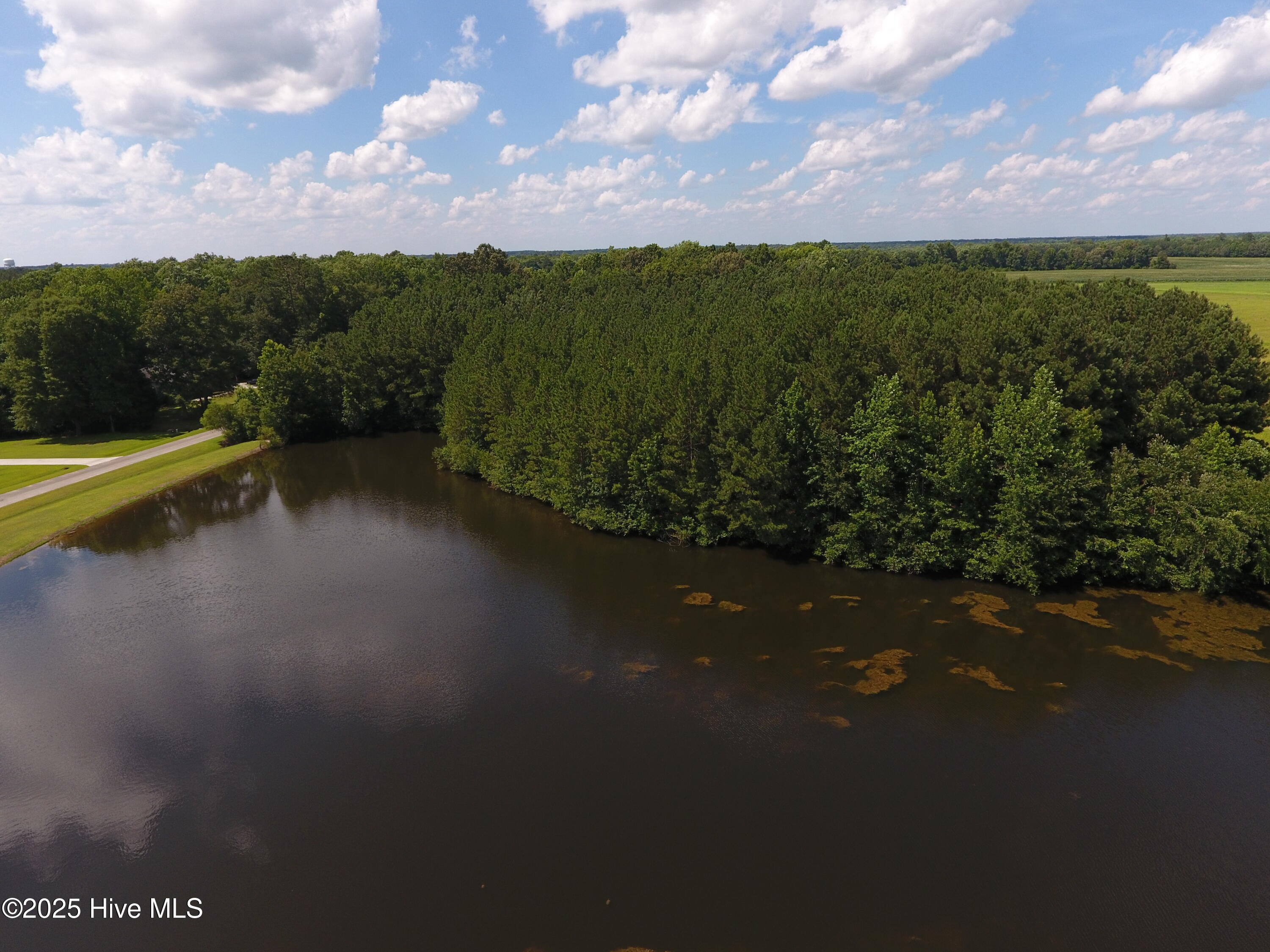 230 Whites Crossing Lane Property Photo 5