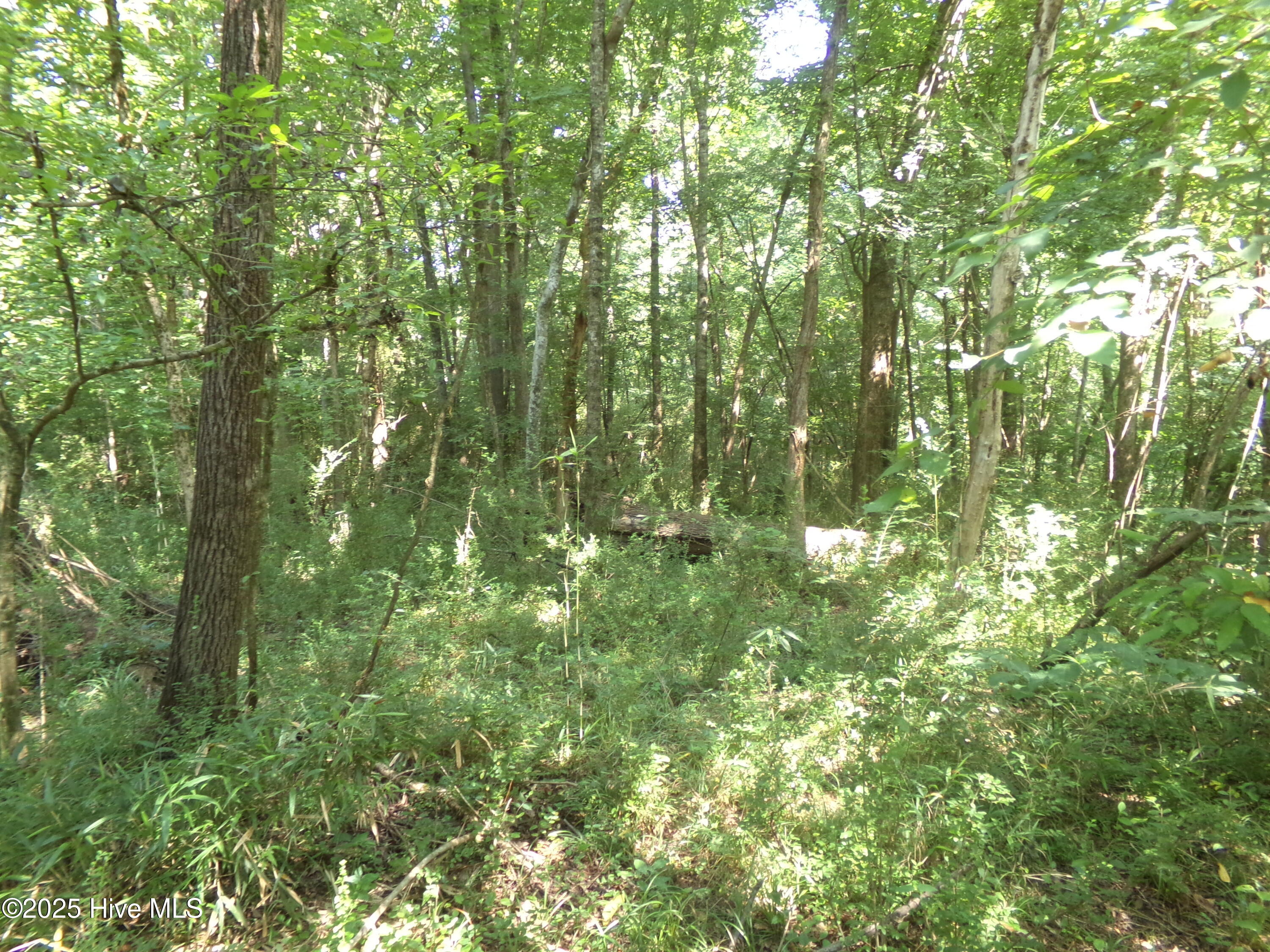 Off River Road Property Photo 1