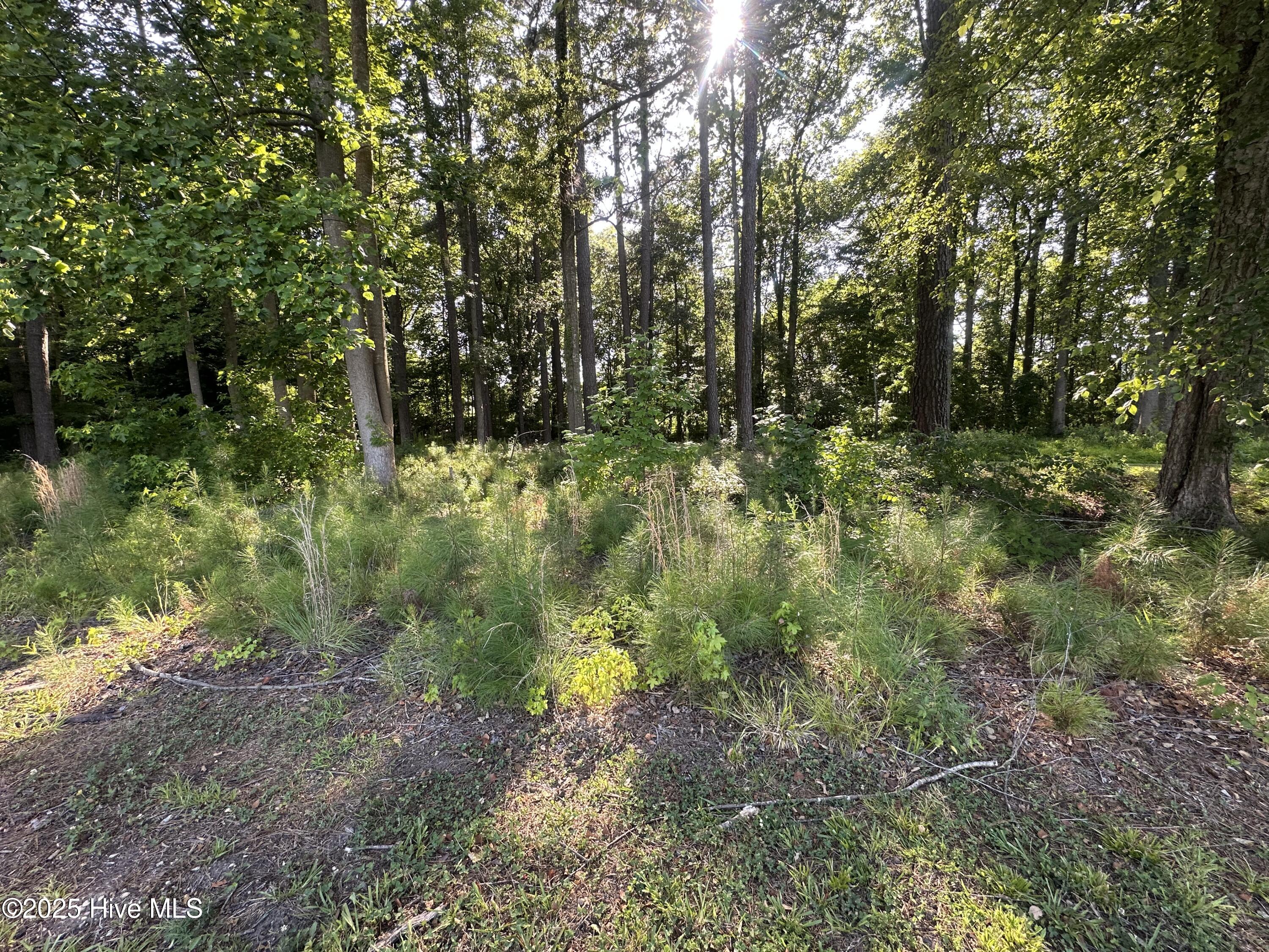 26 Phillips Road Property Photo 4