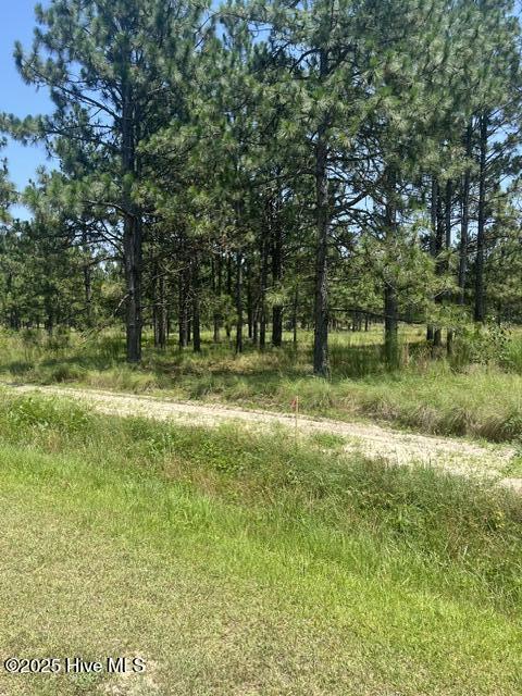 Lot C Shaver Lane Property Photo 1