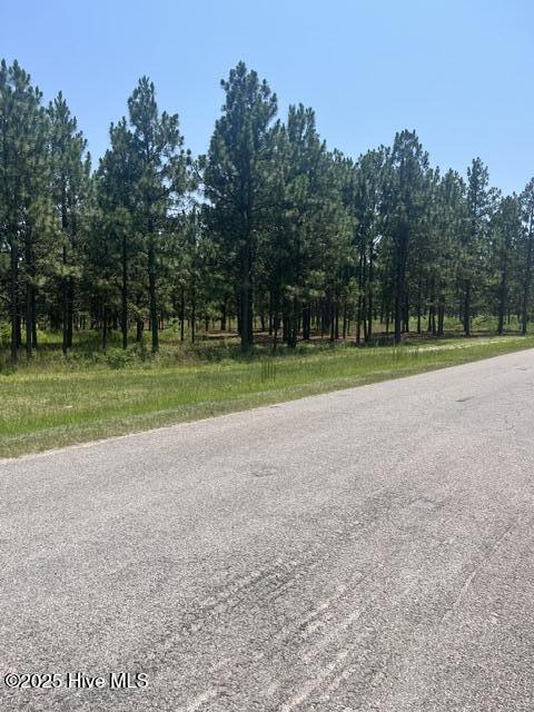 Lot B Shaver Lane Property Photo 1