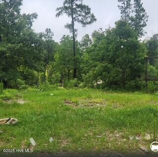 342 Ponderosa Drive Property Photo 1