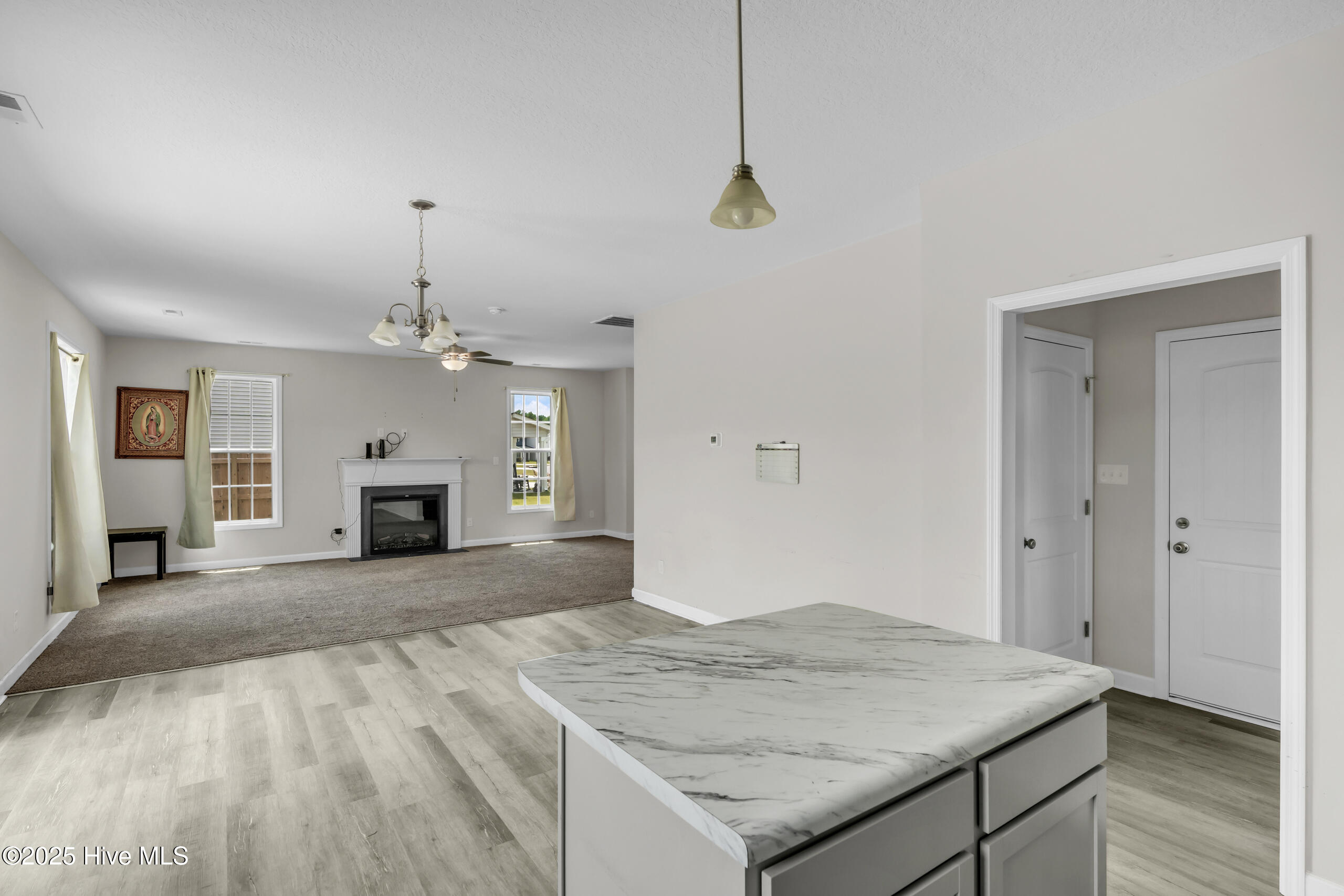 1115 Carteret Manor Drive Property Photo 20