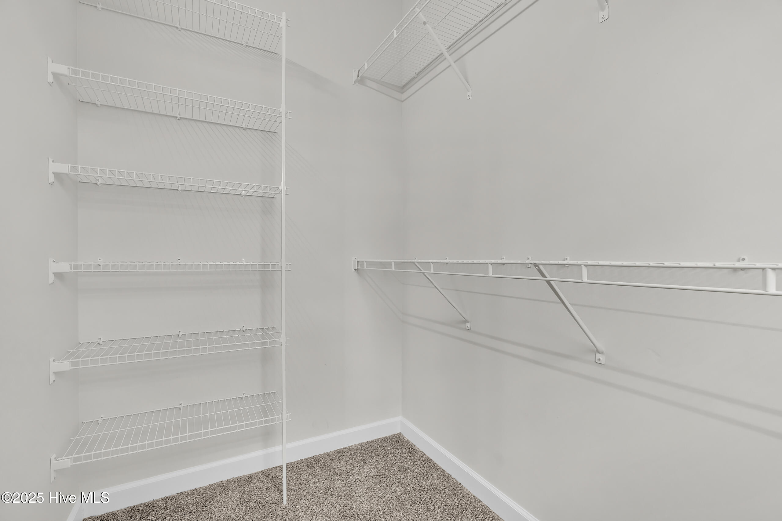 1115 Carteret Manor Drive Property Photo 28