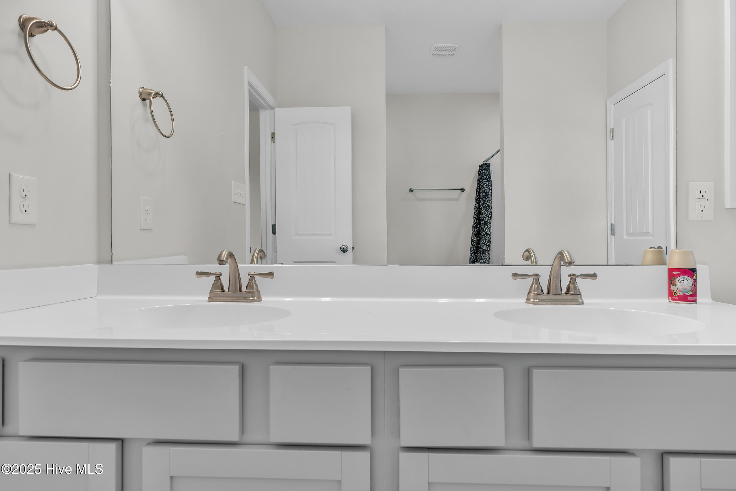 1115 Carteret Manor Drive Property Photo 30