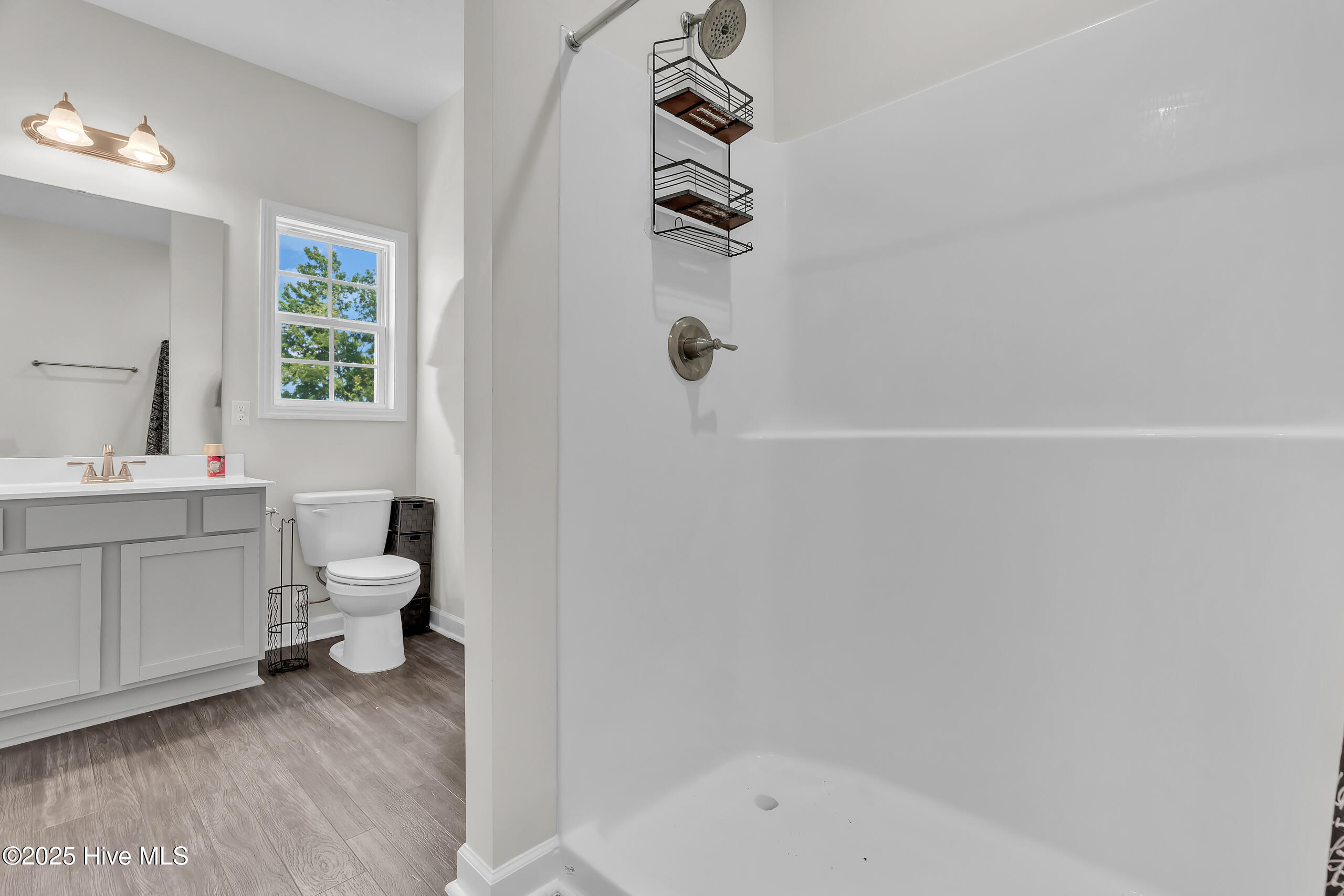1115 Carteret Manor Drive Property Photo 31