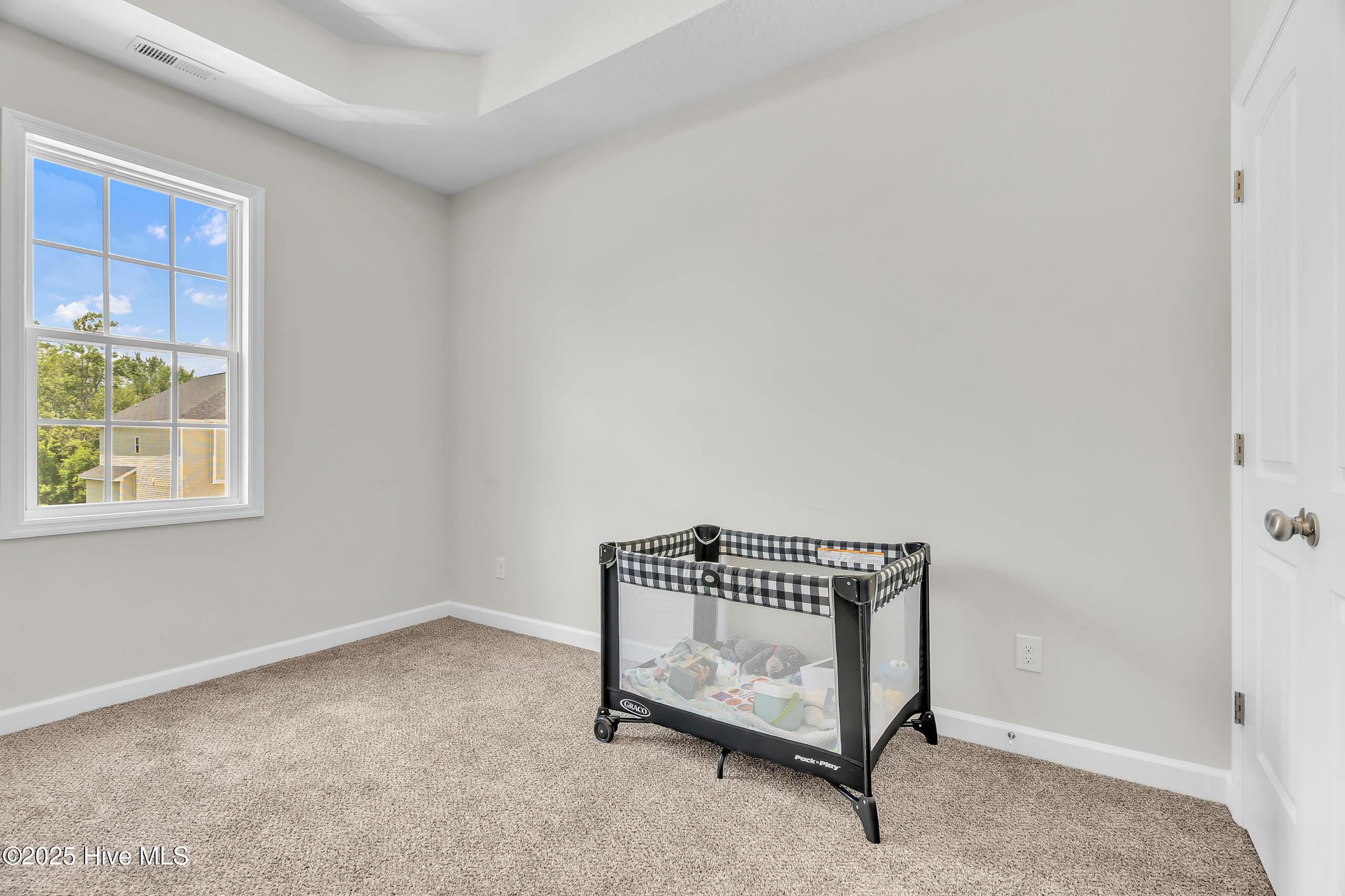 1115 Carteret Manor Drive Property Photo 38