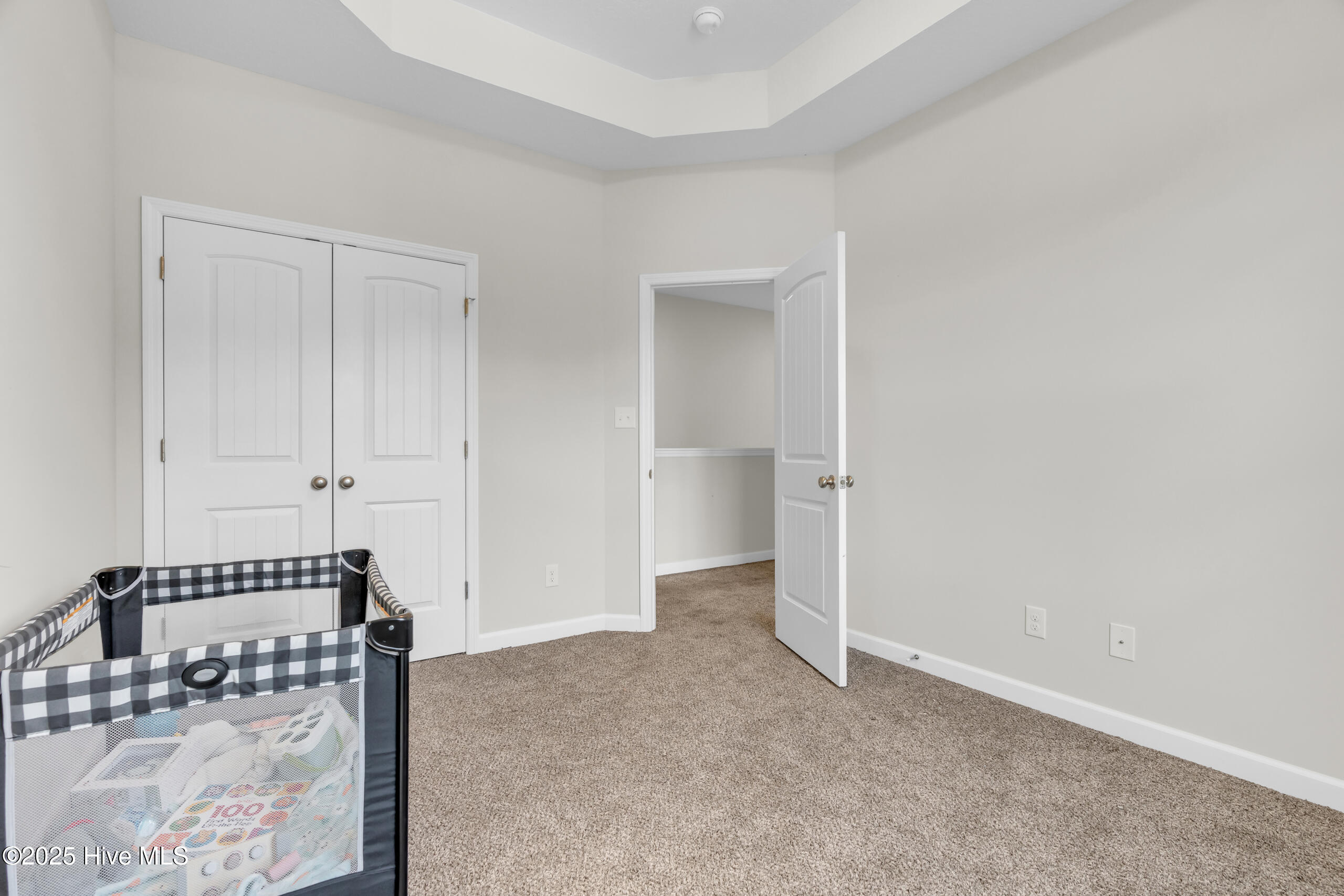 1115 Carteret Manor Drive Property Photo 39