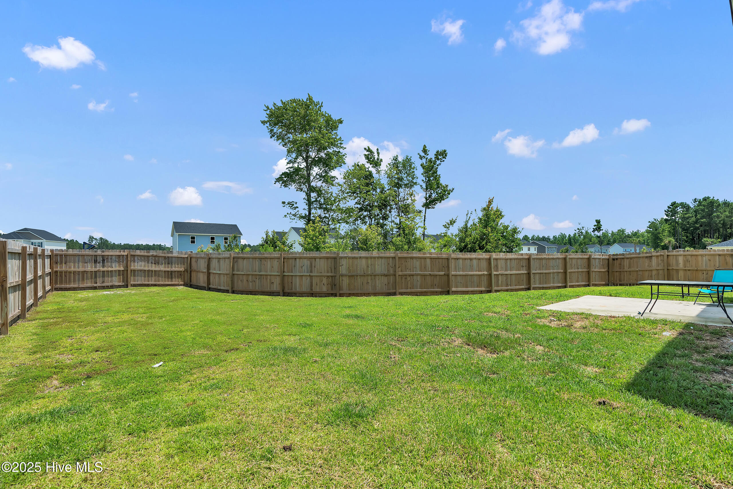 1115 Carteret Manor Drive Property Photo 42