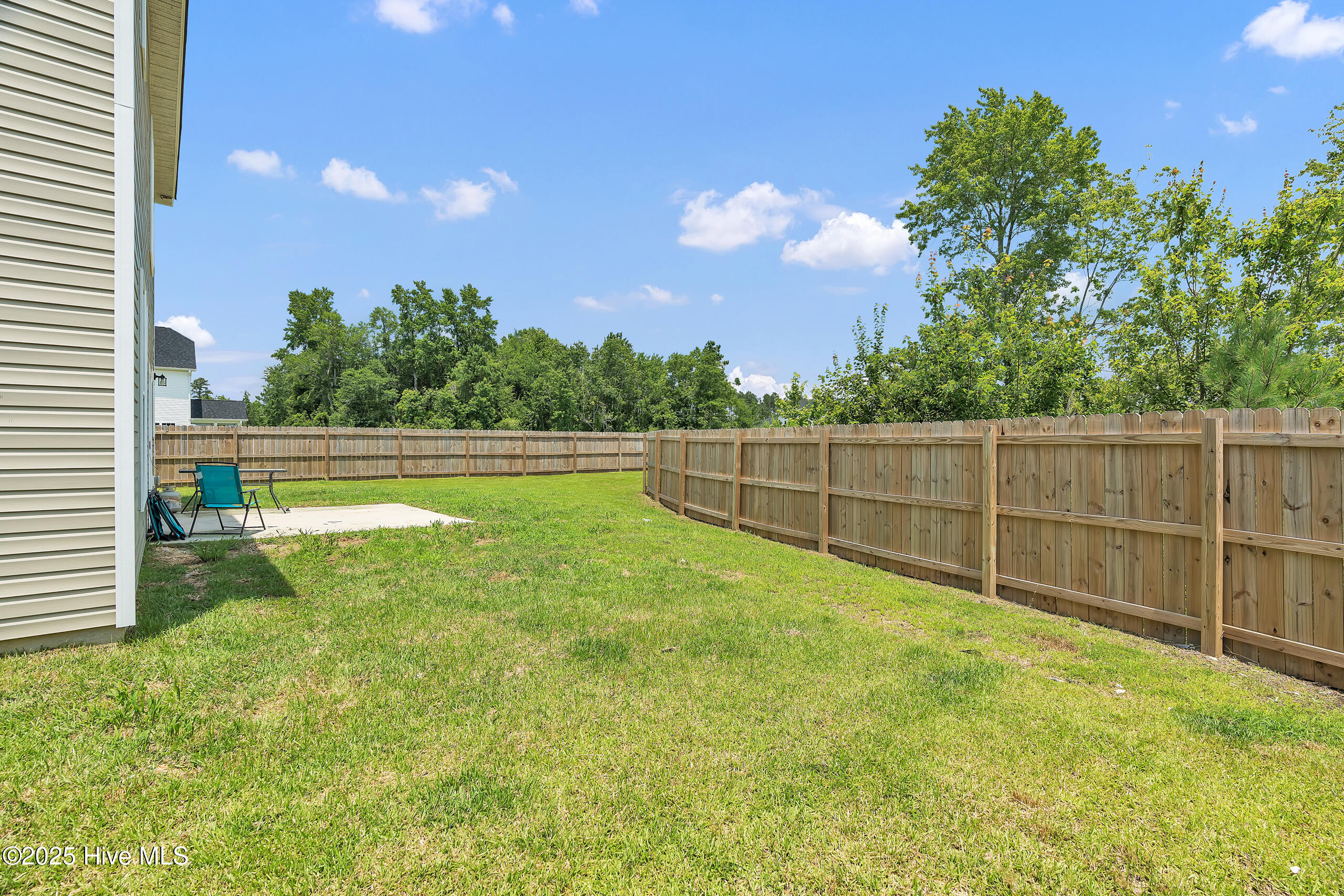 1115 Carteret Manor Drive Property Photo 46