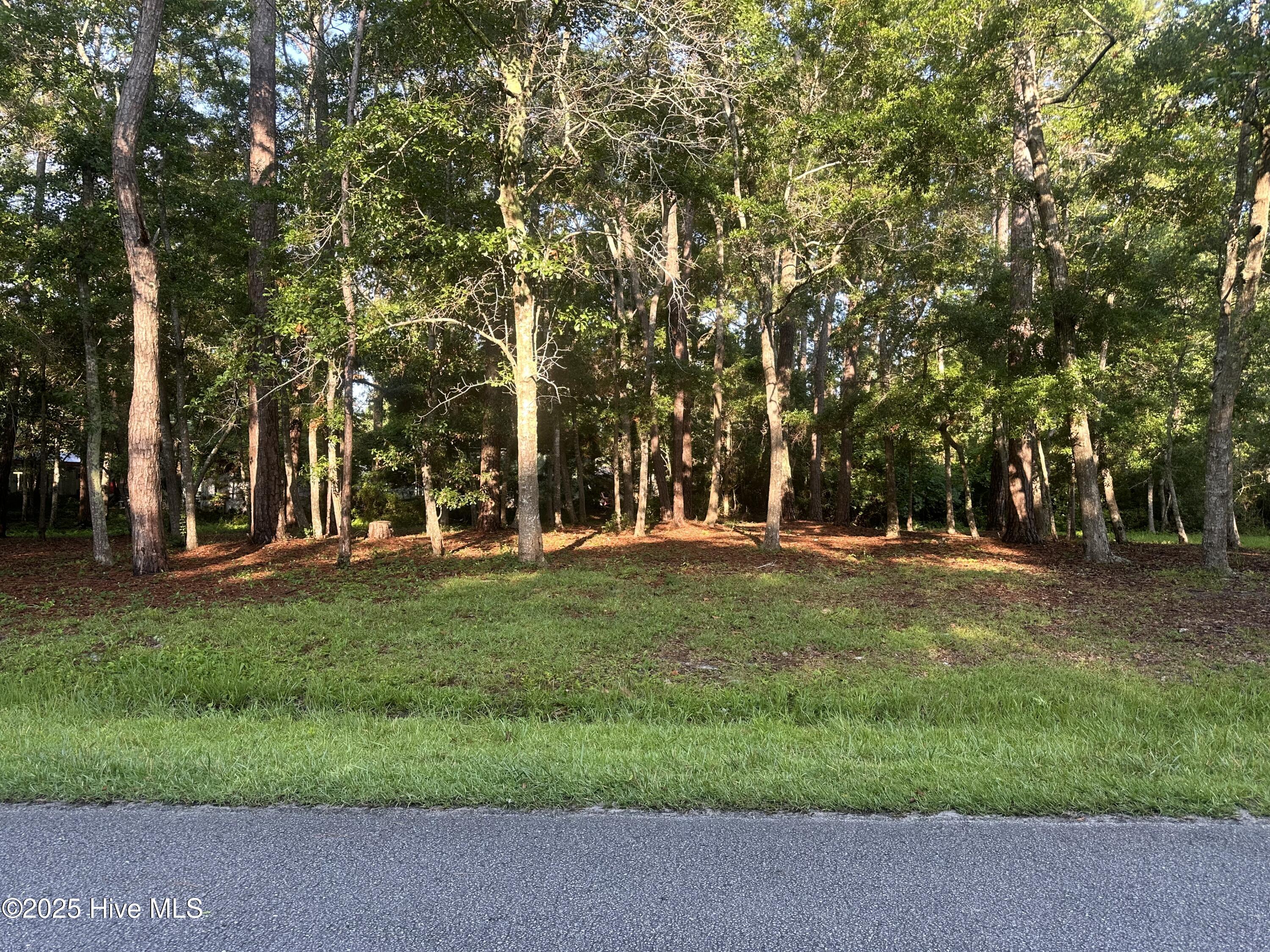 1784 Oak Street Property Photo 1
