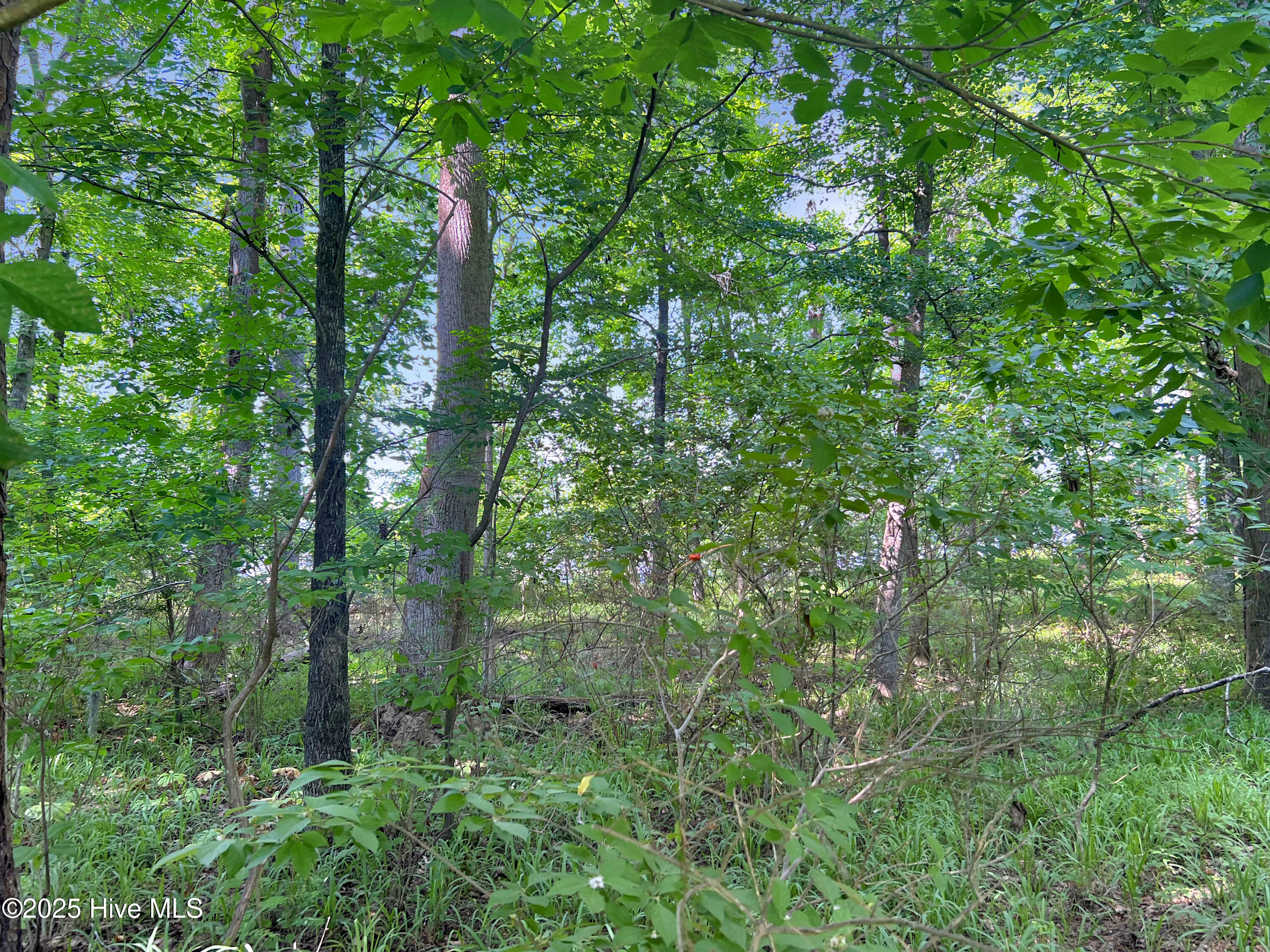 124 Windsong Point Property Photo 1