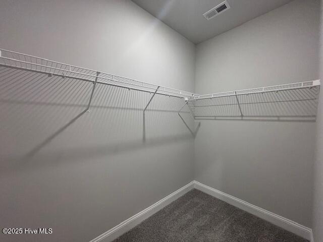 122 Boxwood Court Property Photo 22