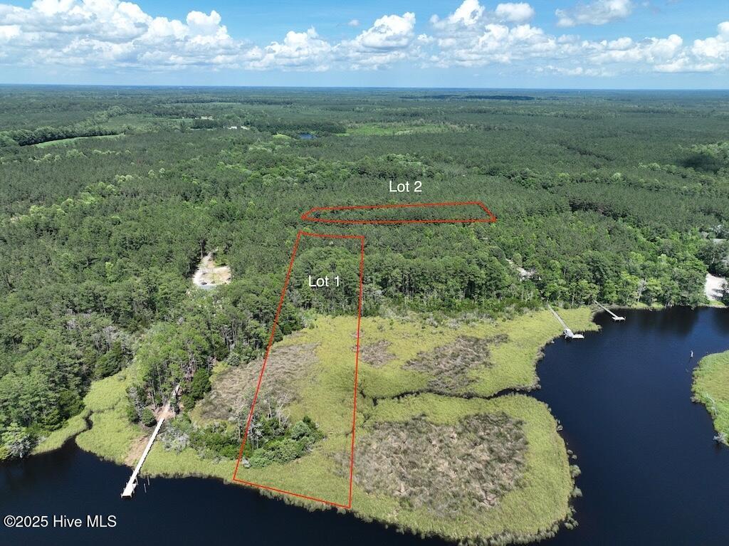 175 North Berne Landing Road Property Photo 2